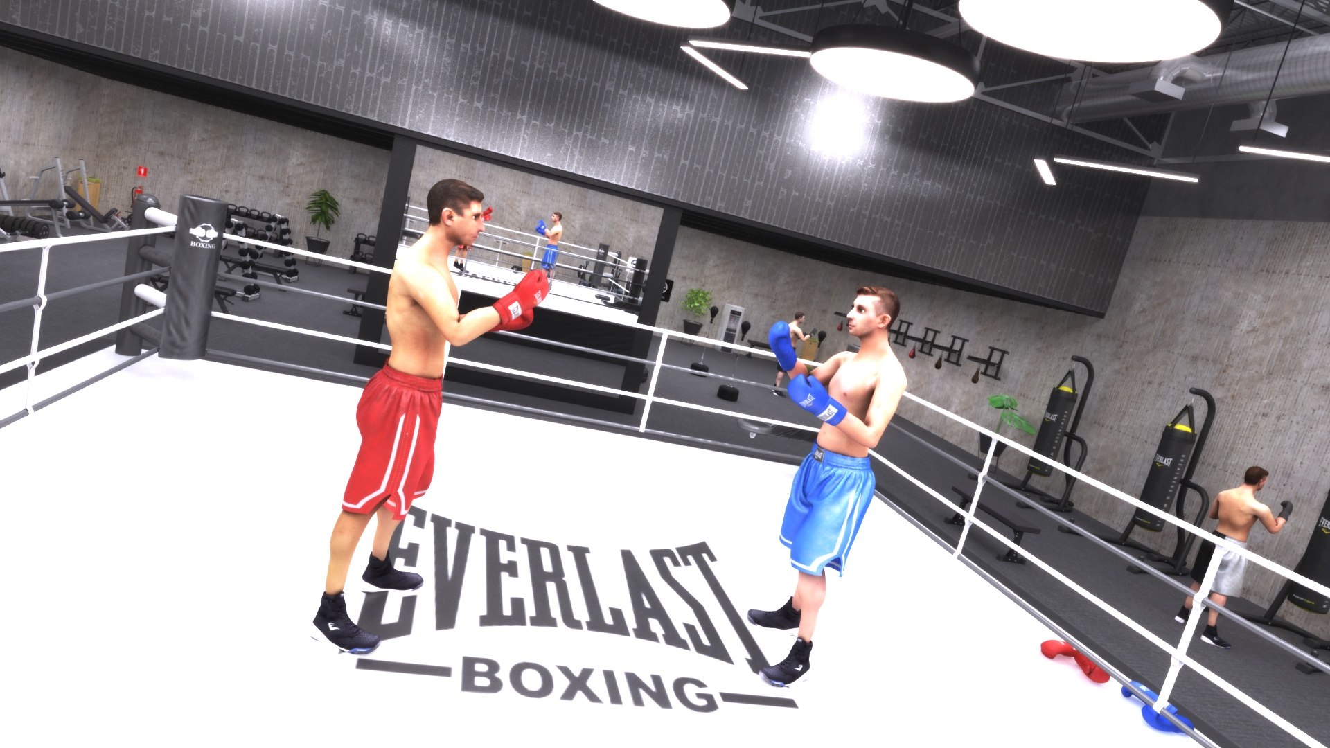 3D model Boxing GYM Center https://p.turbosquid.com/ts-thumb/WX/RaqVMC/Lx/boxinggym22/jpg/1665036931/1920x1080/fit_q87/094c02b3a1588e177ba6cf5c60b99fd62455421e/boxinggym22.jpg