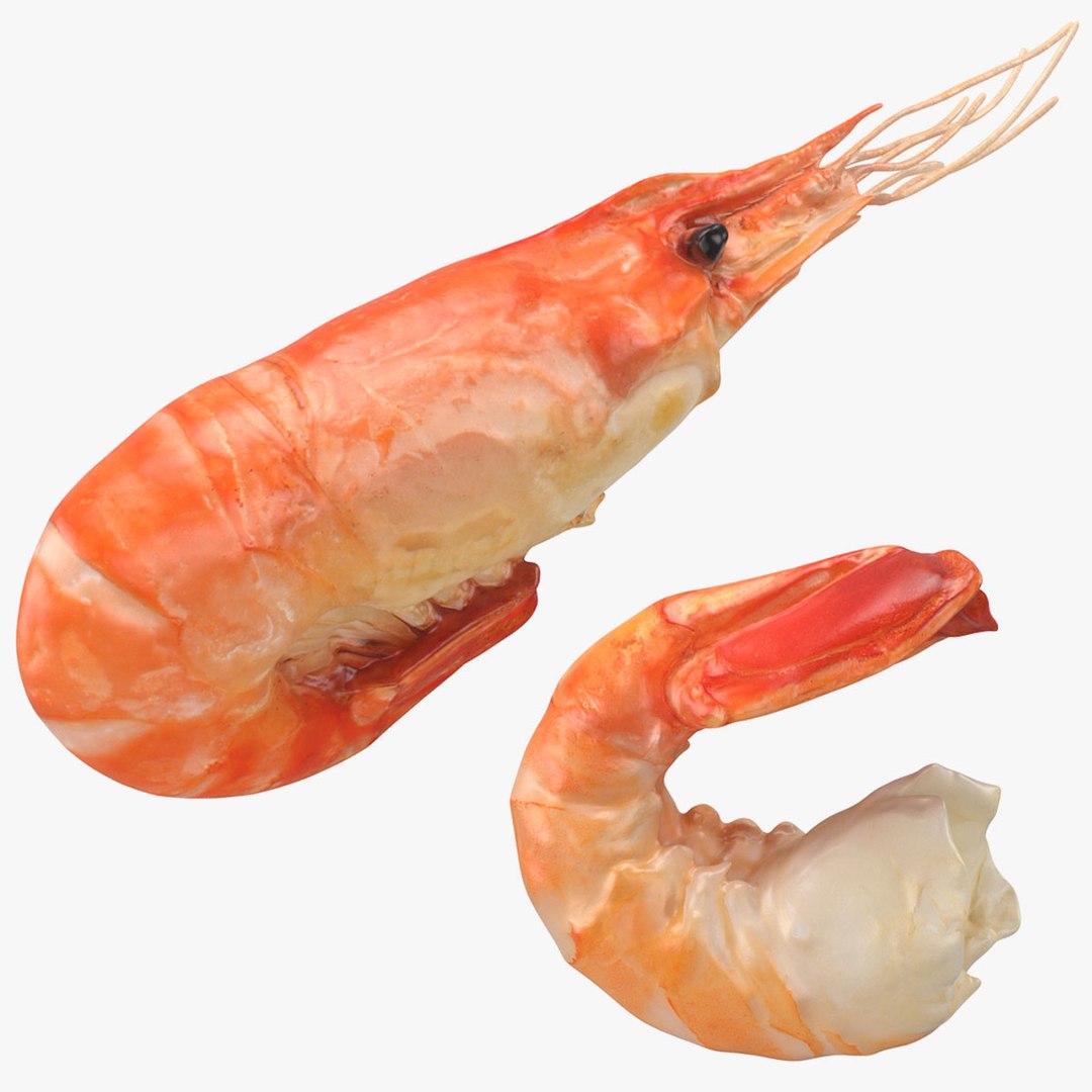 3D Shrimp Collection model - TurboSquid 2108670