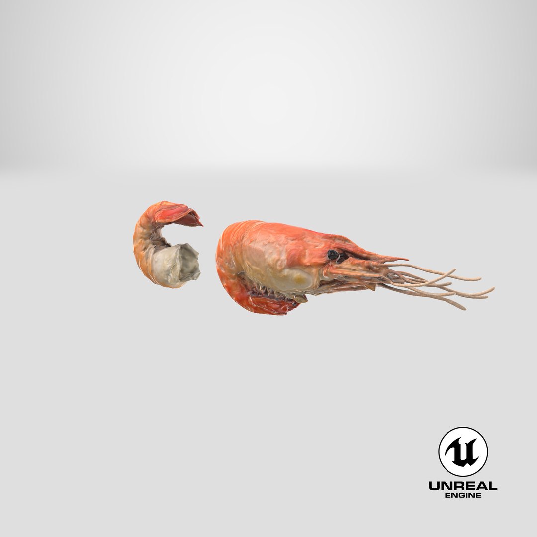 3D Shrimp Collection model https://p.turbosquid.com/ts-thumb/WX/SAcEqf/Nc/stemcell_unreal_render/png/1691647833/1920x1080/fit_q87/ae3c272d5cf562bbb77313042798958707271c82/stemcell_unreal_render.jpg