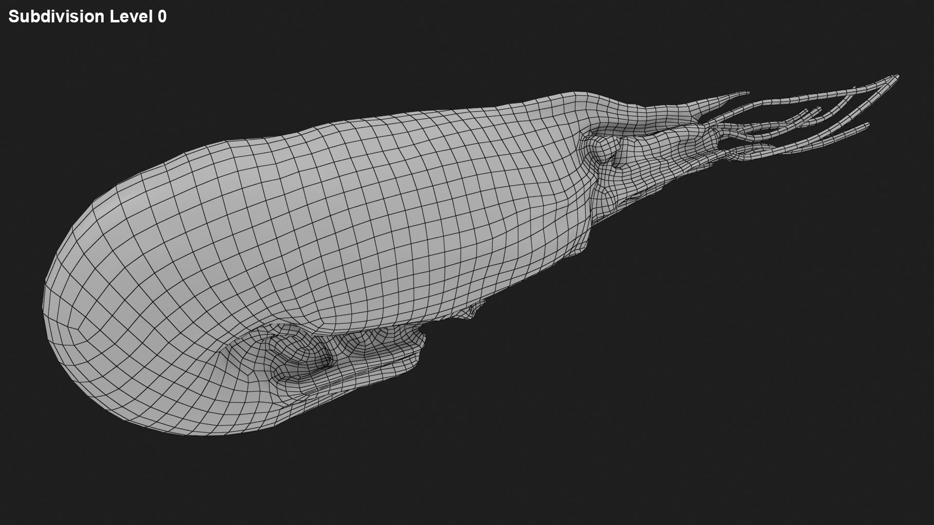 3D Shrimp Collection model https://p.turbosquid.com/ts-thumb/WX/SAcEqf/jn/shrimp_f0001/jpg/1691356442/1920x1080/fit_q87/66fec96eac3cb9660f4b8e1993c29322c5039dae/shrimp_f0001.jpg
