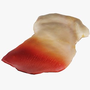 3D Sushi 04 Remastered model