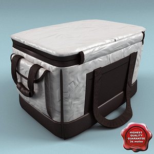 3D model food delivery bag - TurboSquid 1638644