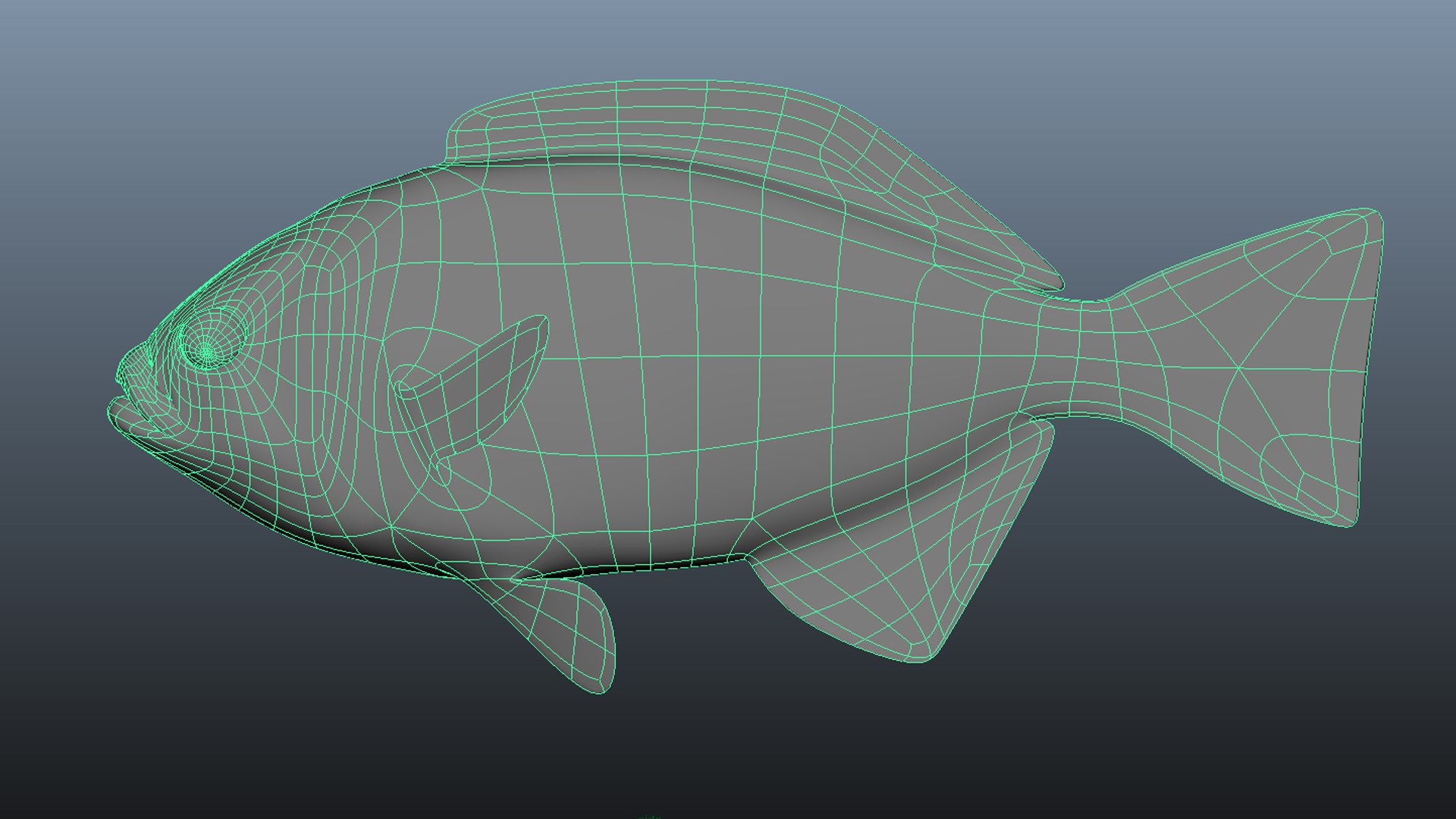 3D Halfmoon https://p.turbosquid.com/ts-thumb/WY/BiJIl5/Tk/wire/jpg/1622747416/1920x1080/fit_q87/97ed0e4ba8d9d47aa87ed836b8496e2277b51896/wire.jpg