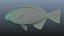 Halfmoon