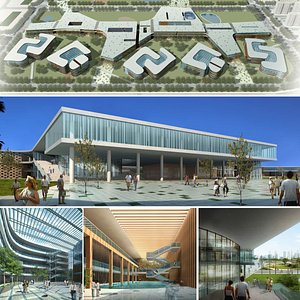 DXRJY_wkn University