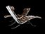 FK-87-Grasshopper-Chair