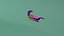 Scorpione animale Voxel Low Polly