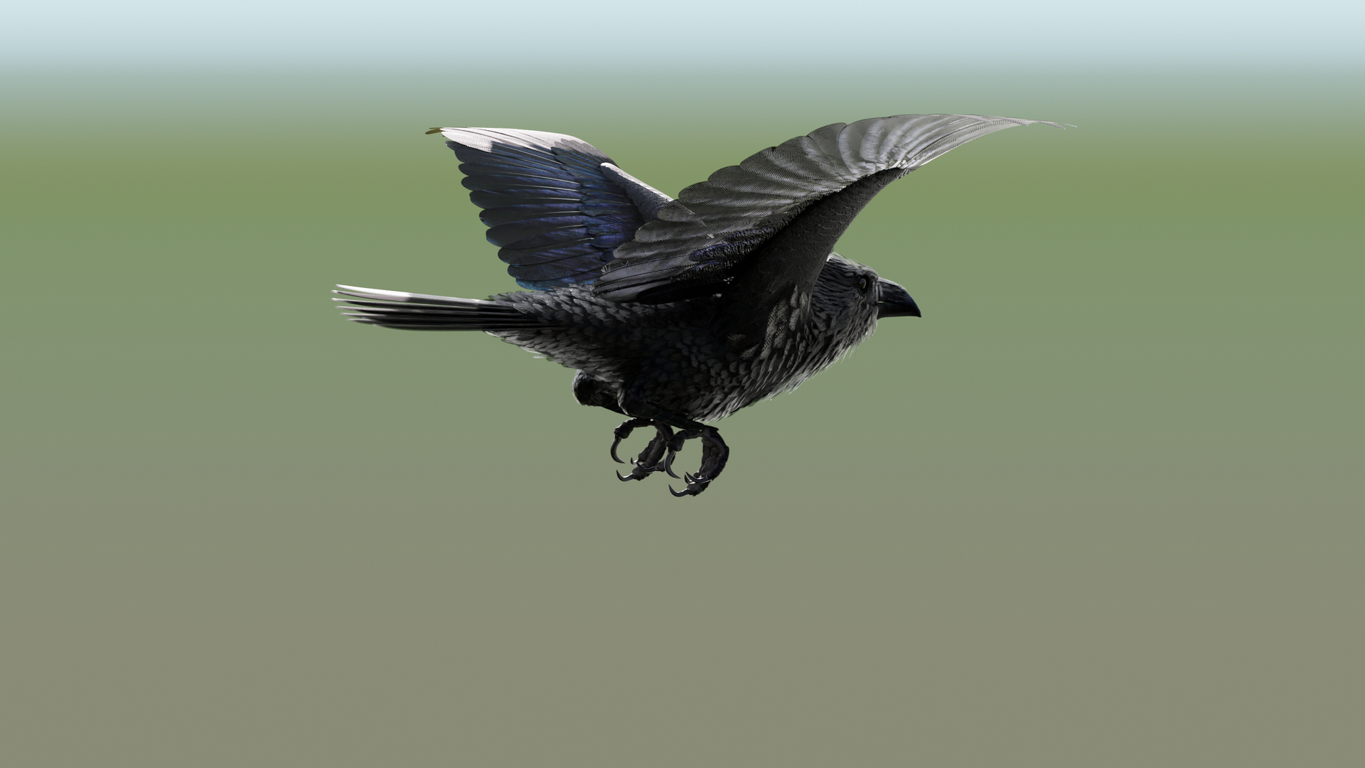 RAVEN-BLENDER model https://p.turbosquid.com/ts-thumb/WY/eAdT1n/18/cam03/png/1700265165/1920x1080/turn_fit_q99/05c1a5431c089e12894625de1d7eb49e412be925/cam03-1.jpg