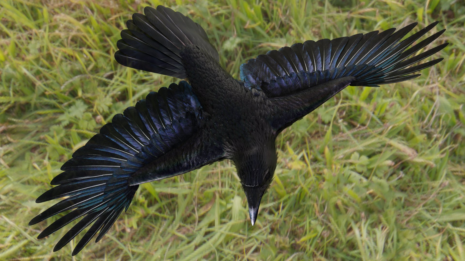 RAVEN-BLENDER model https://p.turbosquid.com/ts-thumb/WY/eAdT1n/33/campix01_f463/png/1700254579/1920x1080/fit_q87/21da5bd9f64dc139b287bf05d920ec7e89ad130c/campix01_f463.jpg