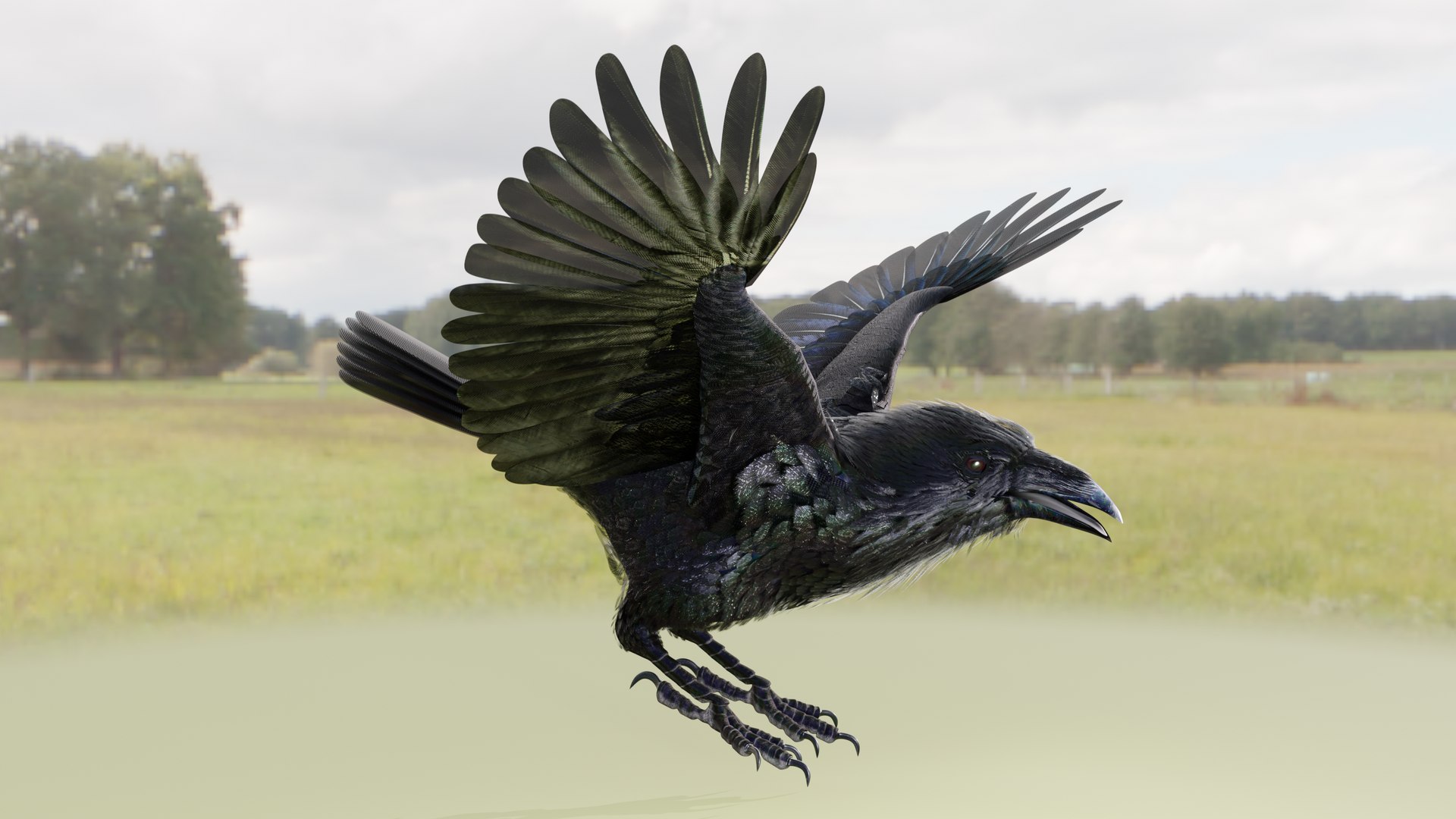 RAVEN-BLENDER model https://p.turbosquid.com/ts-thumb/WY/eAdT1n/3p/campix01_f141/png/1700254566/1920x1080/fit_q87/0b789128a12ceca53093e1d0b78fdea6672cbe48/campix01_f141.jpg