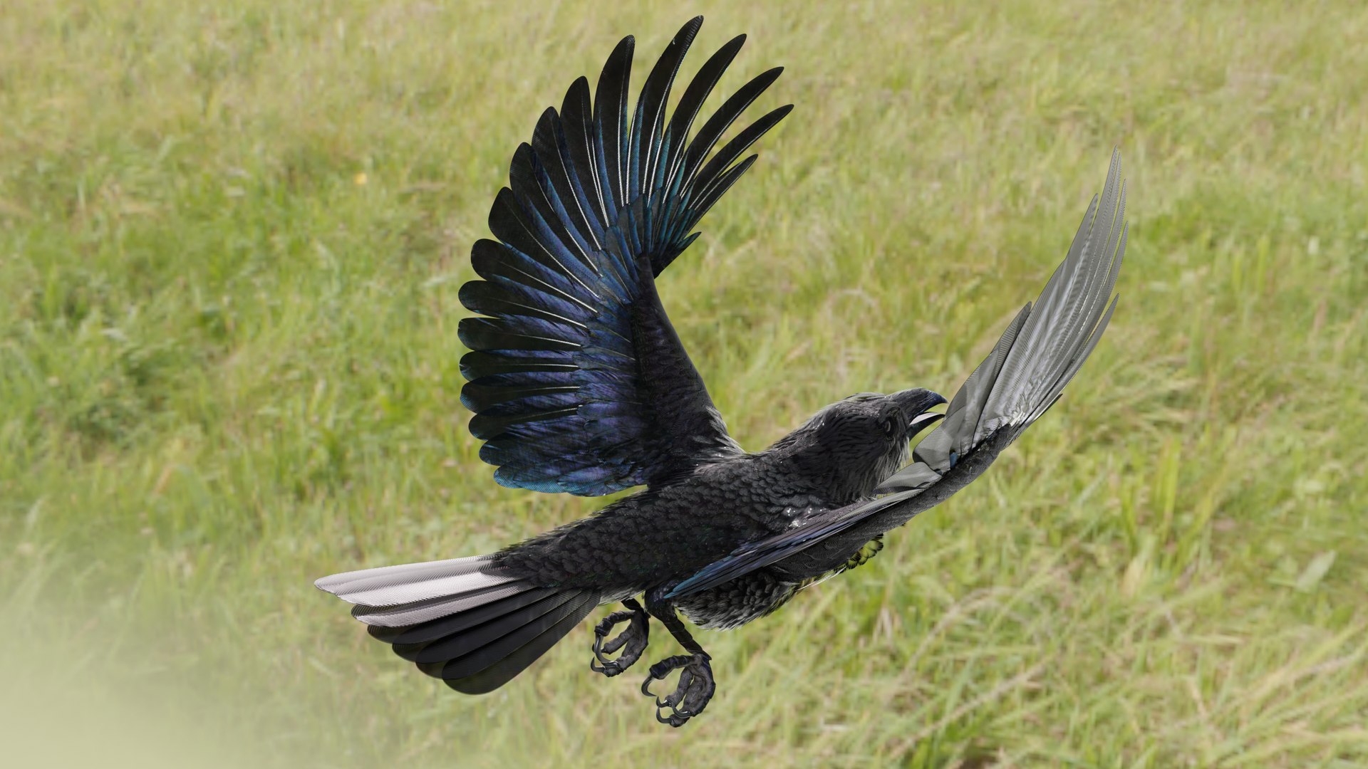 RAVEN-BLENDER model https://p.turbosquid.com/ts-thumb/WY/eAdT1n/6I/campix01_f365/png/1700254575/1920x1080/fit_q87/ff58e8ac95c4271326acca6b520940900ed9c31e/campix01_f365.jpg