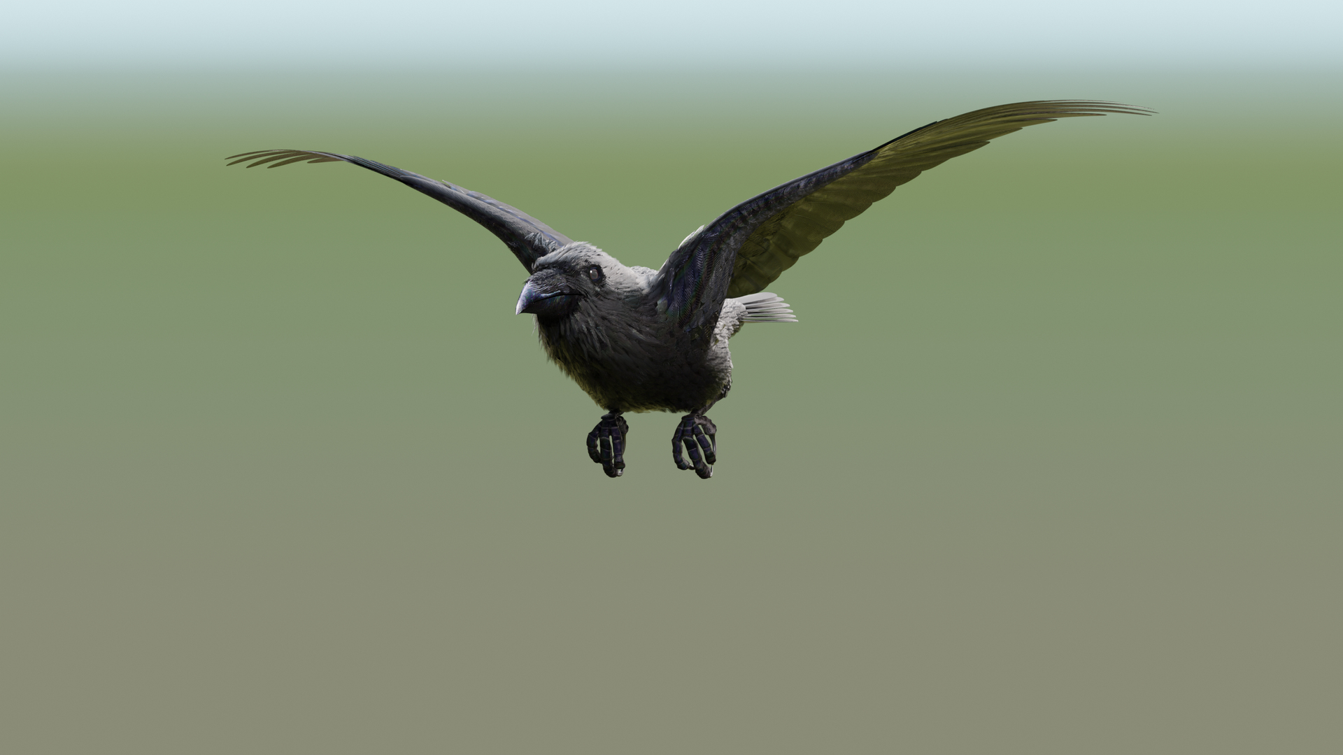 RAVEN-BLENDER model https://p.turbosquid.com/ts-thumb/WY/eAdT1n/6e/cam02/png/1700265014/1920x1080/turn_fit_q99/4f984a6219b850f4ee490f47229ddd6e67a96990/cam02-1.jpg
