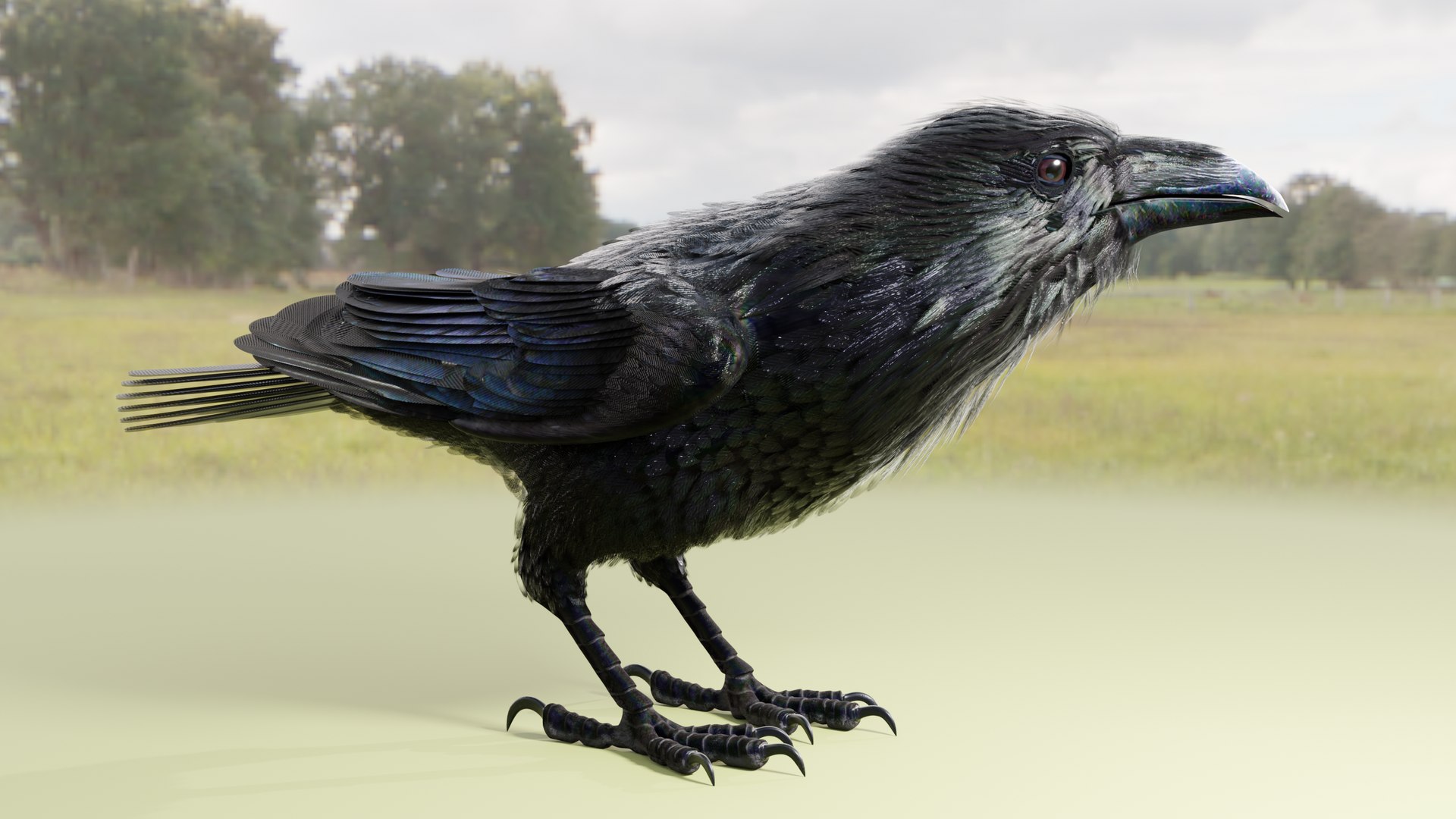 RAVEN-BLENDER model https://p.turbosquid.com/ts-thumb/WY/eAdT1n/8y/campix01_f185/png/1700254566/1920x1080/fit_q87/457627118e2bced85e5d837ae0a017b268ec4d99/campix01_f185.jpg
