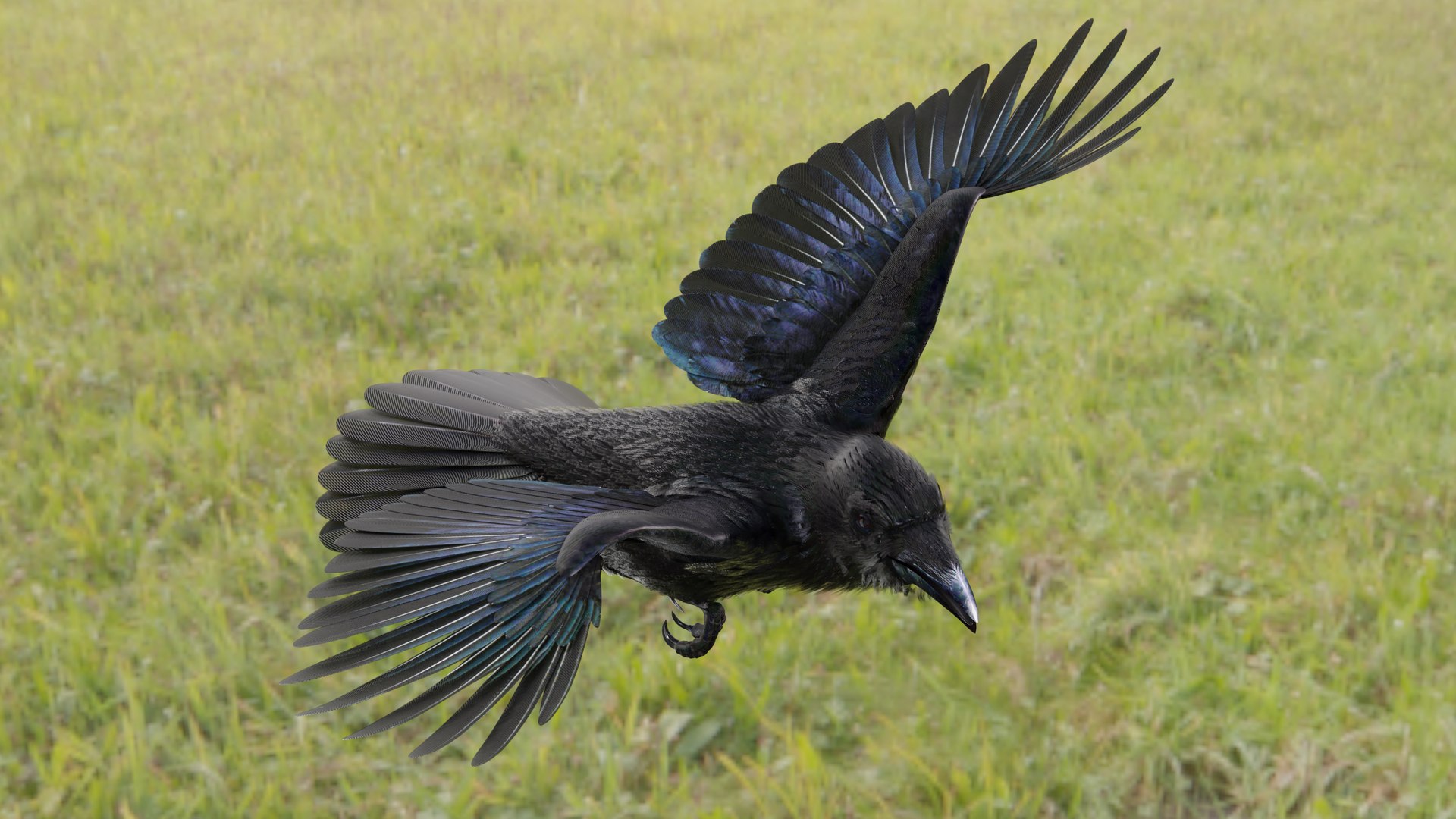 RAVEN-BLENDER model https://p.turbosquid.com/ts-thumb/WY/eAdT1n/An/campix01_f429/png/1700254577/1920x1080/fit_q87/8103fdd745bc6e1737cae8dd2320a89b4c8195dd/campix01_f429.jpg