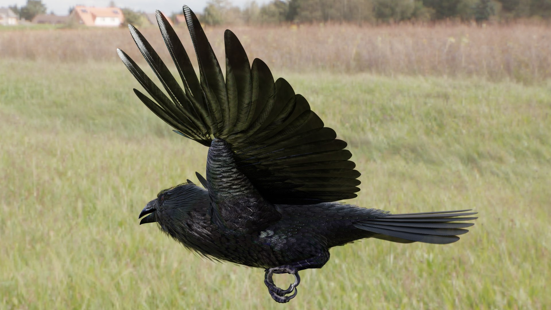 RAVEN-BLENDER model https://p.turbosquid.com/ts-thumb/WY/eAdT1n/BU/campix01_f432/png/1700254577/1920x1080/fit_q87/dd552aa135fa0c332af132ea3ef130244dfc8a9b/campix01_f432.jpg