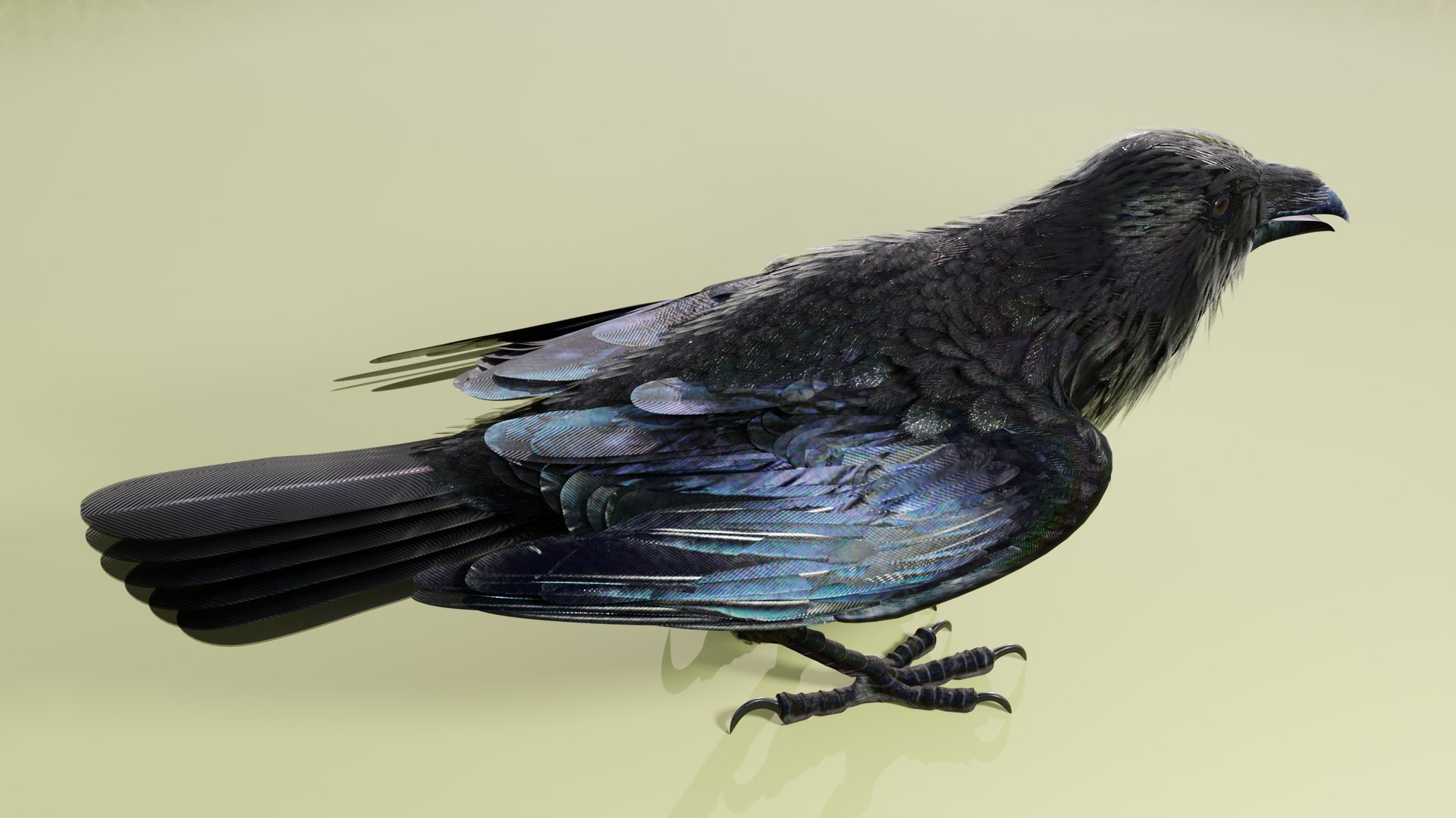RAVEN-BLENDER model https://p.turbosquid.com/ts-thumb/WY/eAdT1n/Bk/campix01_f305/png/1700254571/1920x1080/fit_q87/383d19fcc3fdb37bfcf66b9d72c614b5b722f512/campix01_f305.jpg