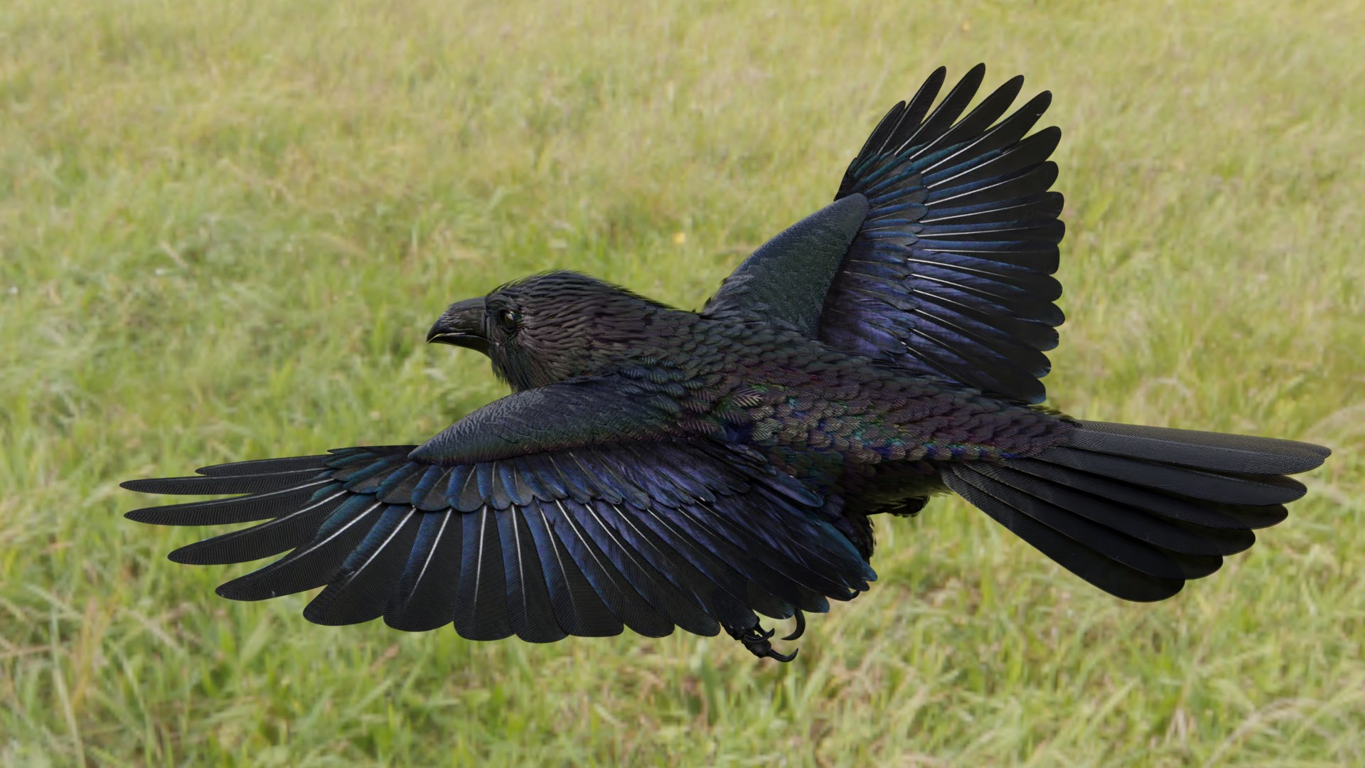RAVEN-BLENDER model https://p.turbosquid.com/ts-thumb/WY/eAdT1n/Ii/9c_coloradjust01atest01/png/1700260874/1920x1080/fit_q87/6700ee973b5fa250265463f71e896a5079779400/9c_coloradjust01atest01.jpg