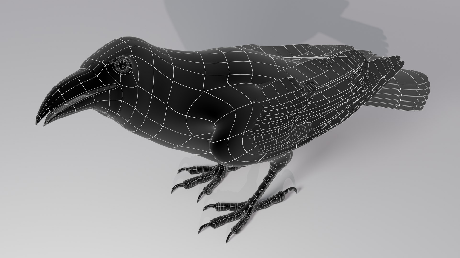 RAVEN-BLENDER model https://p.turbosquid.com/ts-thumb/WY/eAdT1n/LN/campix01_f251wirenofea/png/1700260790/1920x1080/fit_q87/9aee373ae614ad0a208007fe4d59259e0494c595/campix01_f251wirenofea.jpg