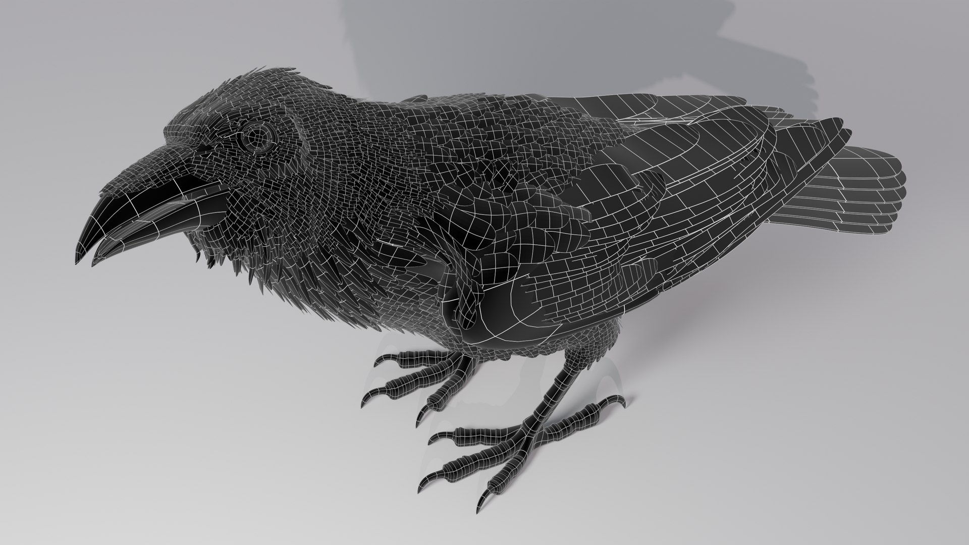 RAVEN-BLENDER model https://p.turbosquid.com/ts-thumb/WY/eAdT1n/NY/campix01_f251wire/png/1700254569/1920x1080/fit_q87/b1471b3e189c2afbdc9c45dcd251bfba0039390f/campix01_f251wire.jpg