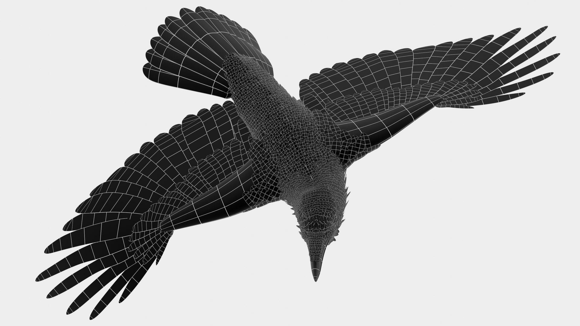RAVEN-BLENDER model https://p.turbosquid.com/ts-thumb/WY/eAdT1n/OZ/campix01_f463wire/png/1700254577/1920x1080/fit_q87/823ccc68b4da0e9f0fe0f3e12aa74a9bd83e9e24/campix01_f463wire.jpg
