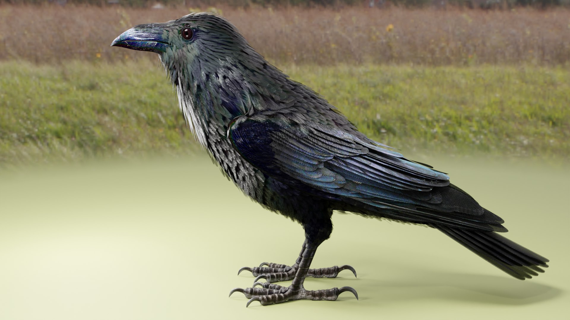 RAVEN-BLENDER model https://p.turbosquid.com/ts-thumb/WY/eAdT1n/Pd/z02bf0/png/1700260871/1920x1080/fit_q87/4c22f88fc3f14ebd8d3c4d12aeb10a0ecb147e65/z02bf0.jpg
