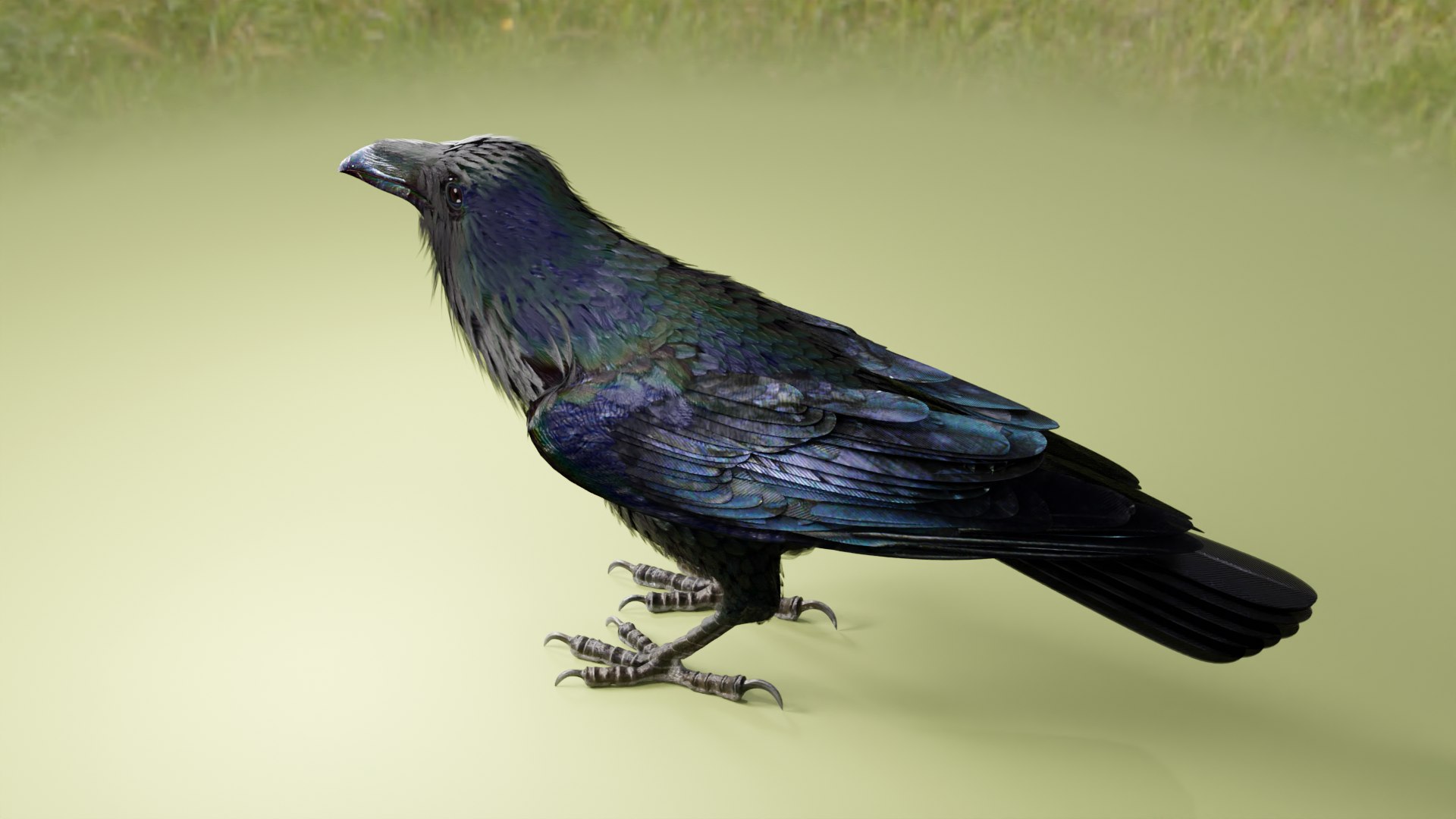 RAVEN-BLENDER model https://p.turbosquid.com/ts-thumb/WY/eAdT1n/VW/z05i1/png/1700260871/1920x1080/fit_q87/9e144abd174d94b498e1fd88dc15d9ae46d96a46/z05i1.jpg