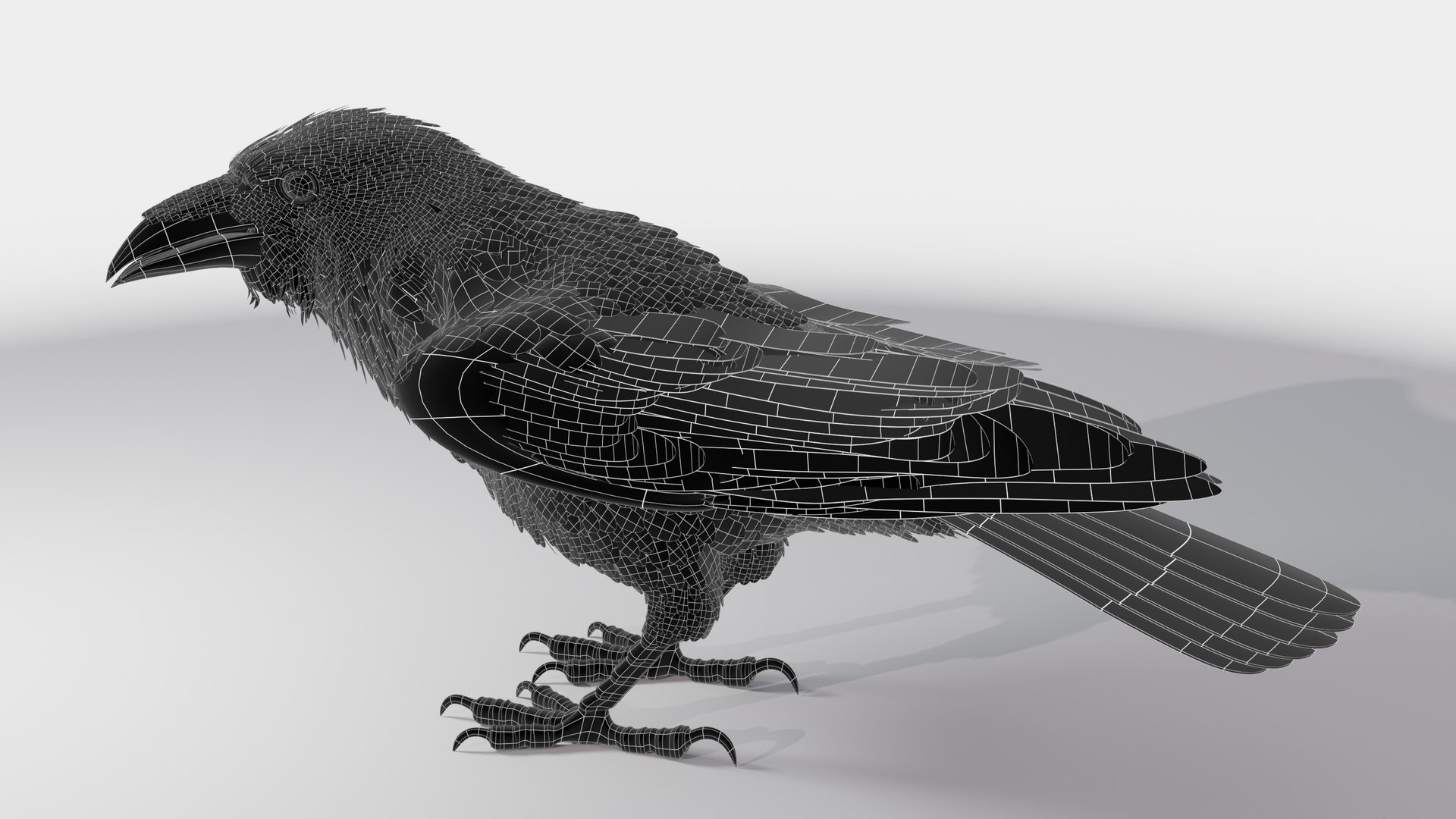 RAVEN-BLENDER model https://p.turbosquid.com/ts-thumb/WY/eAdT1n/WQ/campix01_f230wire/png/1700254567/1920x1080/fit_q87/7b513b9ccefcd4b43dfded62044661a1cef7812f/campix01_f230wire.jpg
