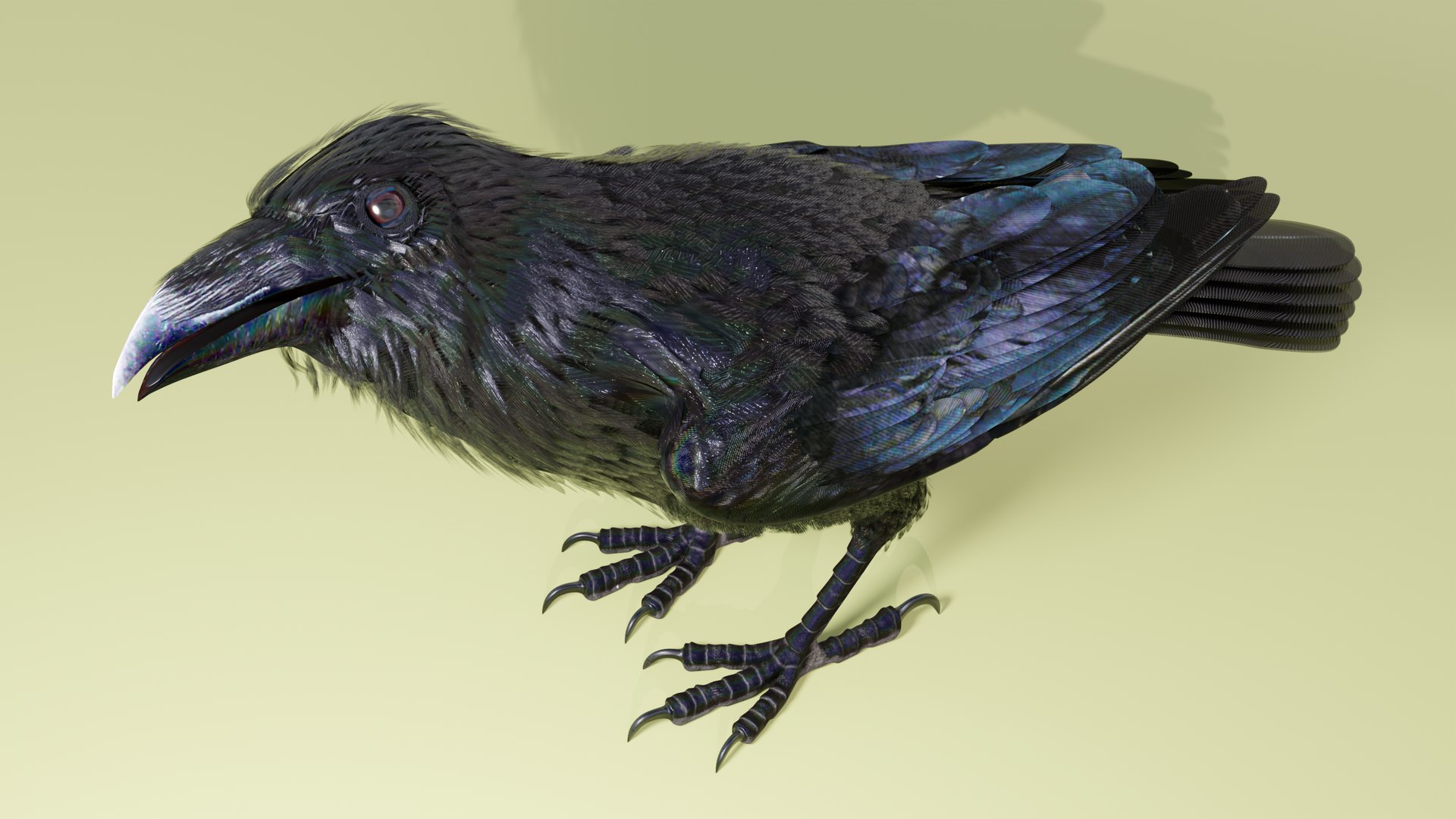RAVEN-BLENDER model https://p.turbosquid.com/ts-thumb/WY/eAdT1n/Wx/campix01_f251/png/1700254569/1920x1080/fit_q87/3e52f1f5b78cb59da9bc1ec9b287338dd6d4699d/campix01_f251.jpg