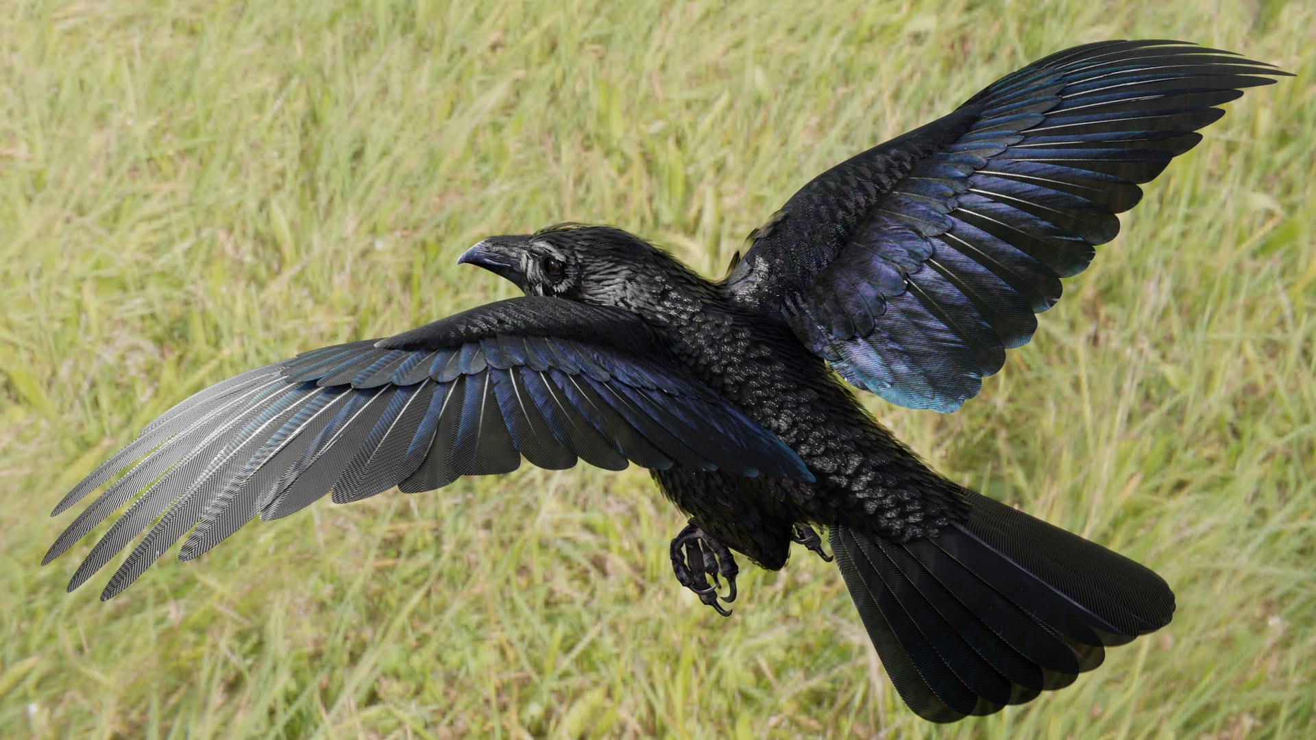 RAVEN-BLENDER model https://p.turbosquid.com/ts-thumb/WY/eAdT1n/ZW/campix01_f40/png/1700254563/1920x1080/fit_q87/c01dc60d9595492cc7b4b377b77f3f25cb3ed07c/campix01_f40.jpg