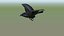RAVEN-BLENDER