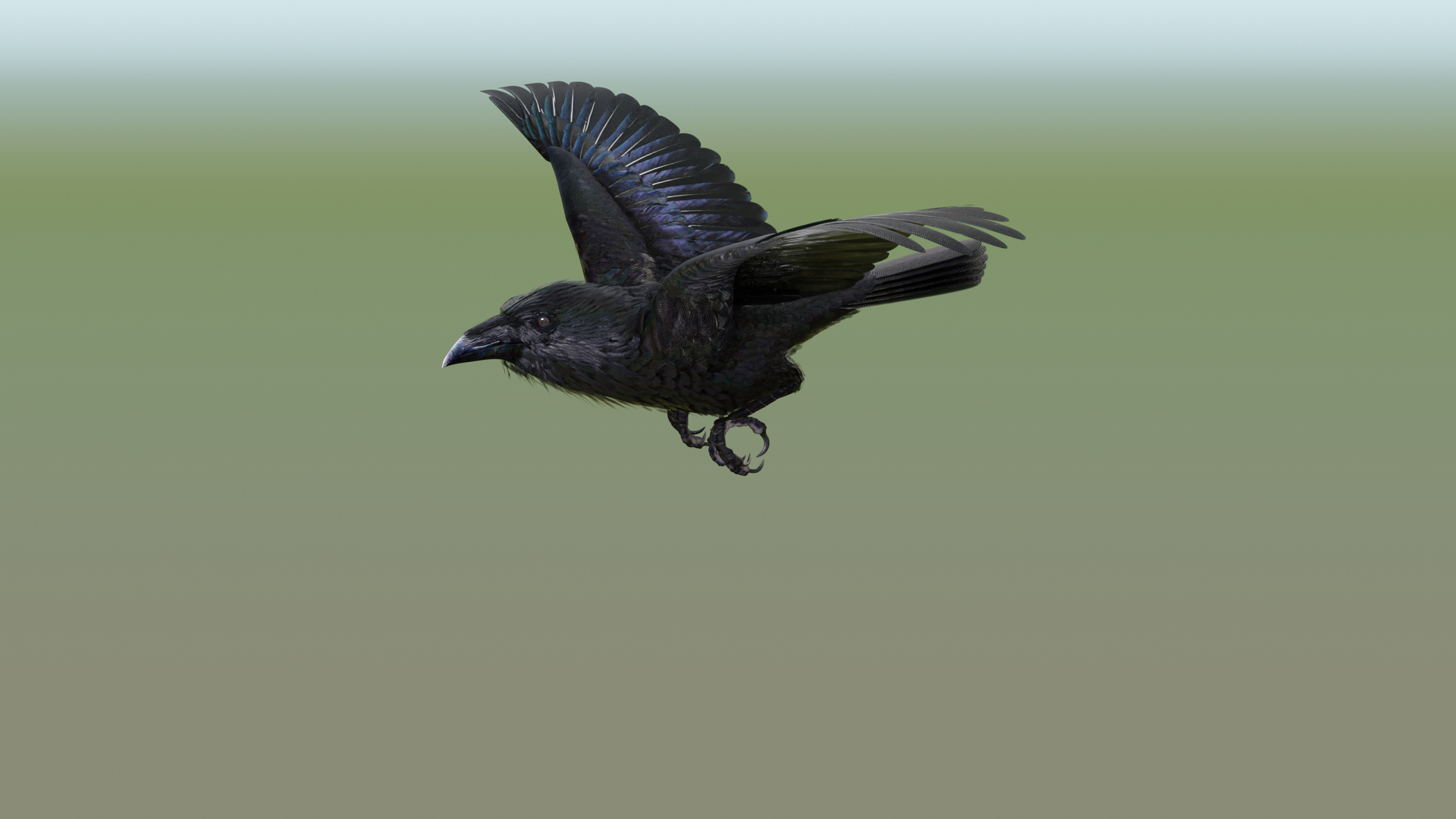 RAVEN-BLENDER model https://p.turbosquid.com/ts-thumb/WY/eAdT1n/dj/ravenflyloop01/png/1700264906/1920x1080/turn_fit_q99/7f2e65df244f2b5594feb965f5983522058aa19a/ravenflyloop01-1.jpg