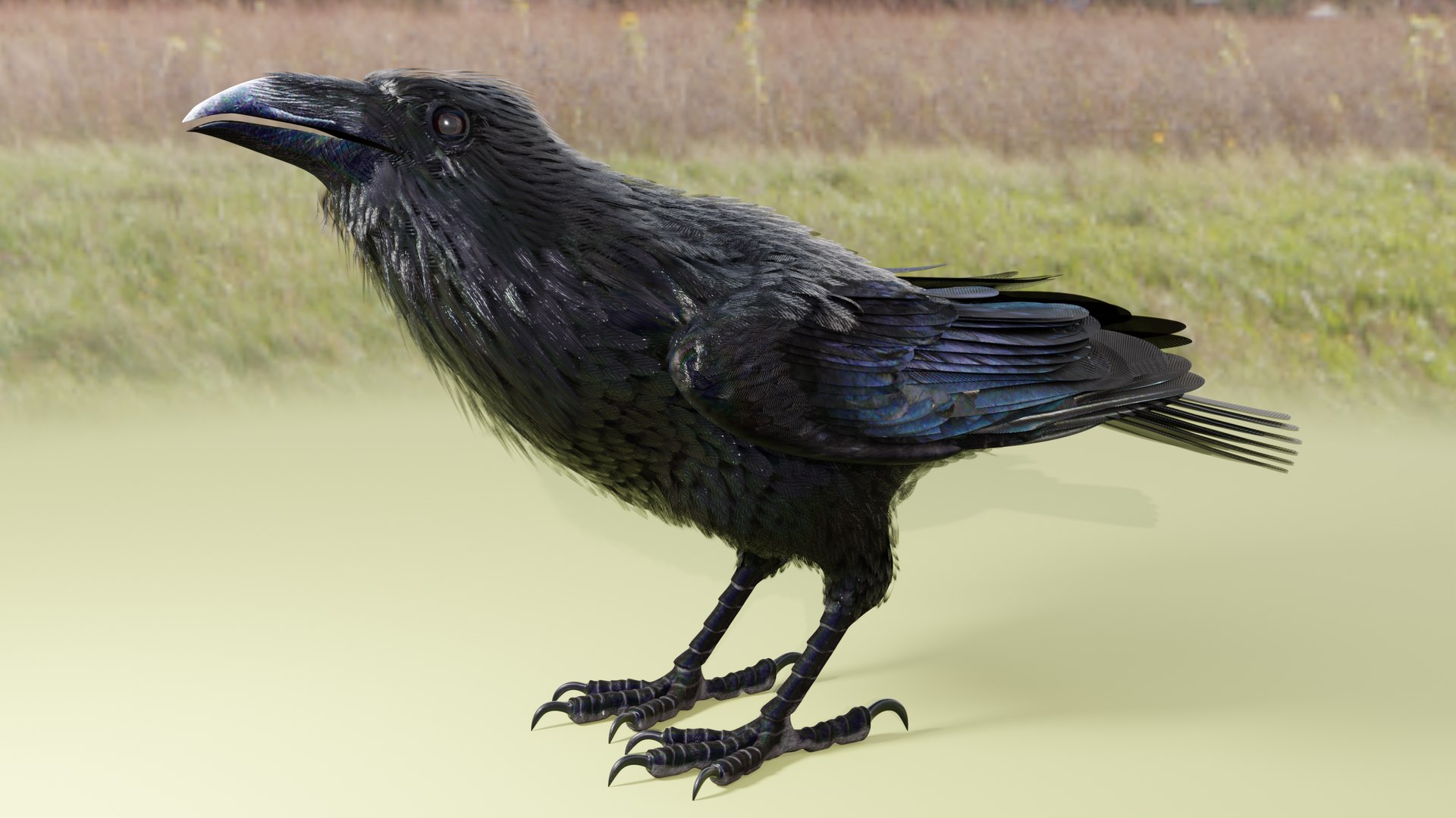 RAVEN-BLENDER model https://p.turbosquid.com/ts-thumb/WY/eAdT1n/eF/campix01_f213/png/1700254567/1920x1080/fit_q87/88a3d371ab978b822aadf4a572fc4fef4acd2be0/campix01_f213.jpg