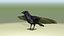 RAVEN-BLENDER