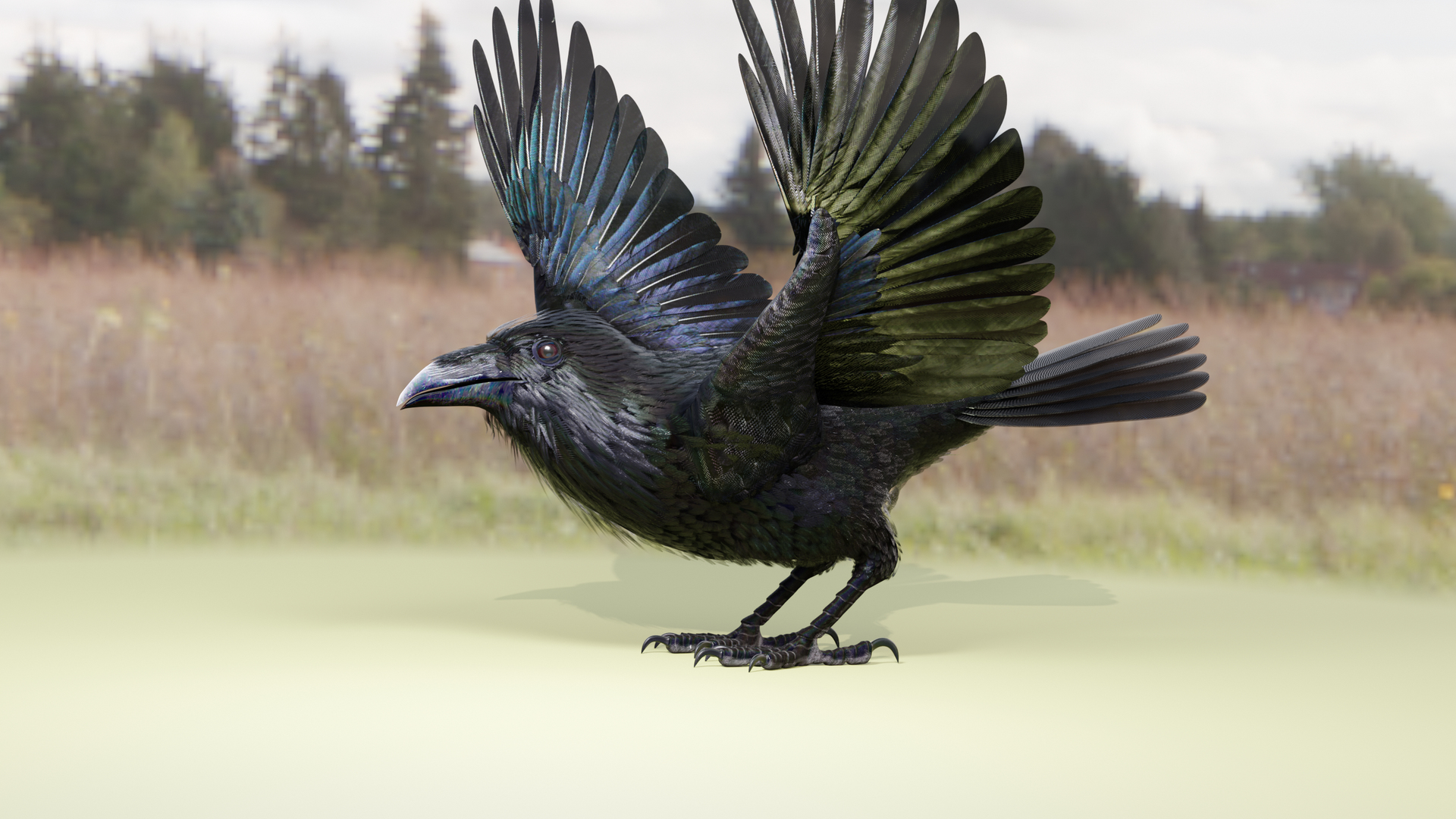 RAVEN-BLENDER model https://p.turbosquid.com/ts-thumb/WY/eAdT1n/l4/raven_colorlandtakeoff/png/1700266357/1920x1080/turn_fit_q99/3f4173da8ae1acebe8e3254477b4613459935034/raven_colorlandtakeoff-1.jpg