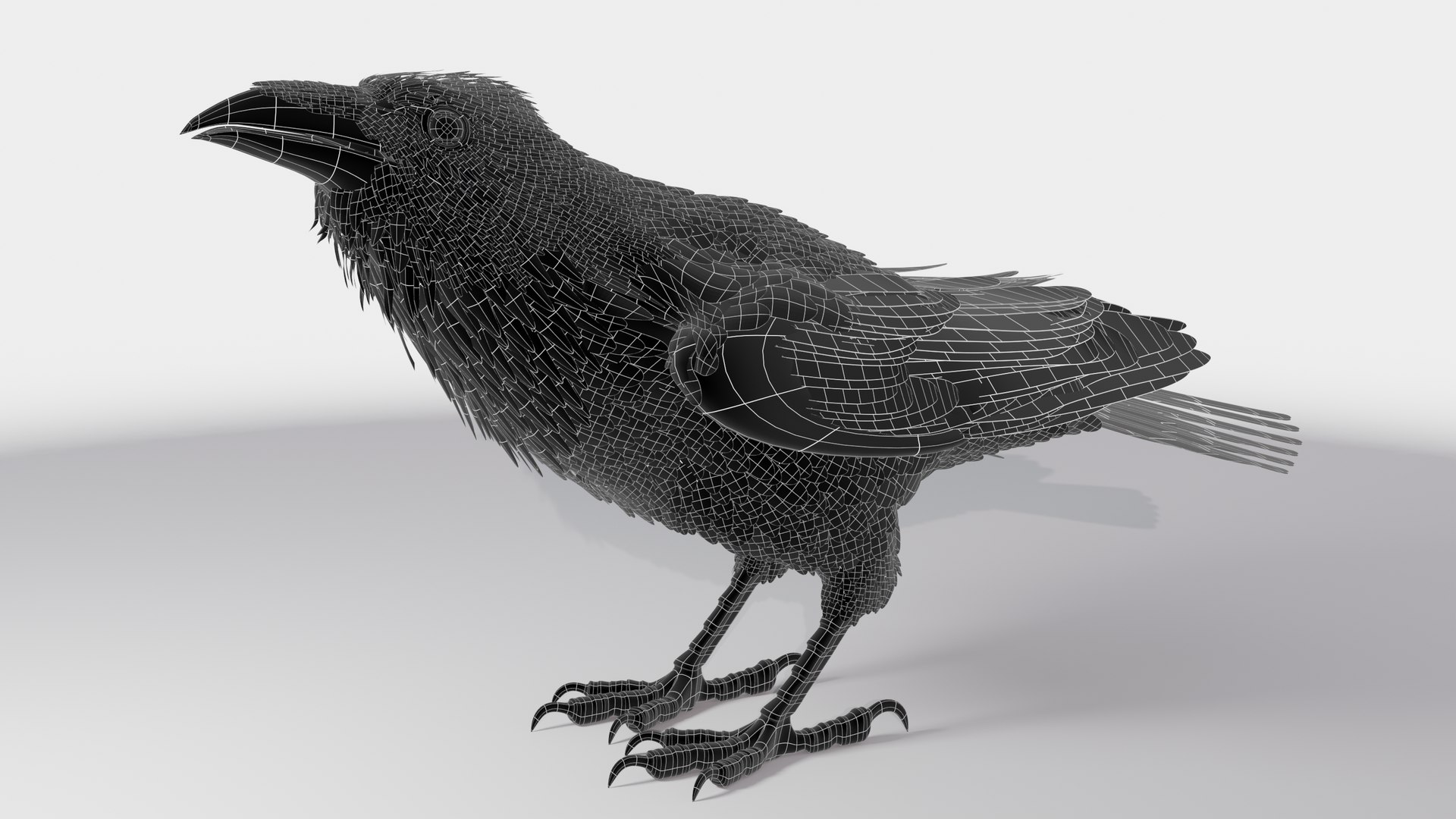 RAVEN-BLENDER model https://p.turbosquid.com/ts-thumb/WY/eAdT1n/mc/campix01_f213wire/png/1700254567/1920x1080/fit_q87/aaaaf40b9b75a9a1ee9a51536f1903f6199df29a/campix01_f213wire.jpg