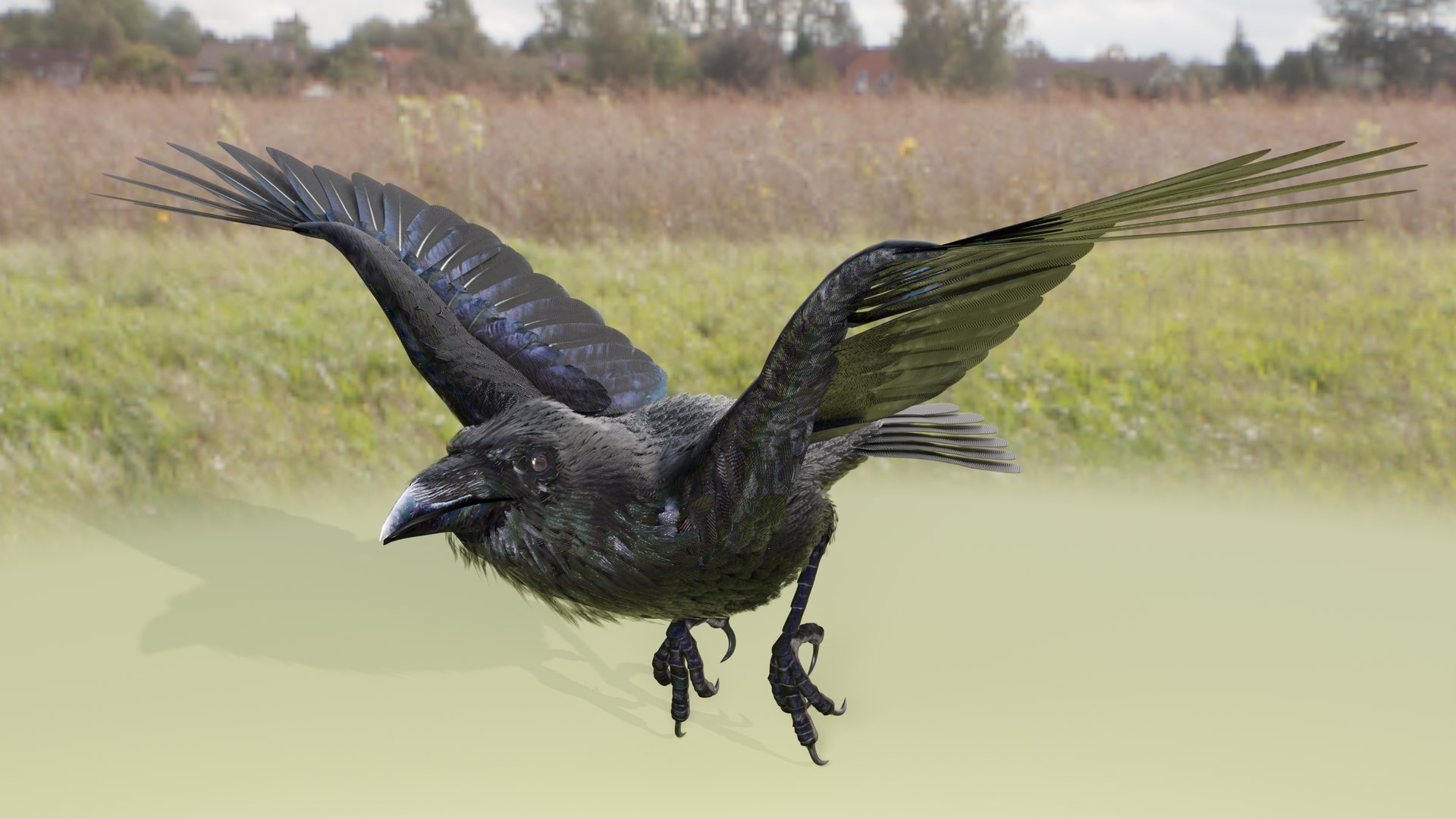 RAVEN-BLENDER model https://p.turbosquid.com/ts-thumb/WY/eAdT1n/nw/campix01_f330/png/1700254572/1920x1080/fit_q87/afc0119d8adf9e7eda25bf1a81f8733d1b416af0/campix01_f330.jpg