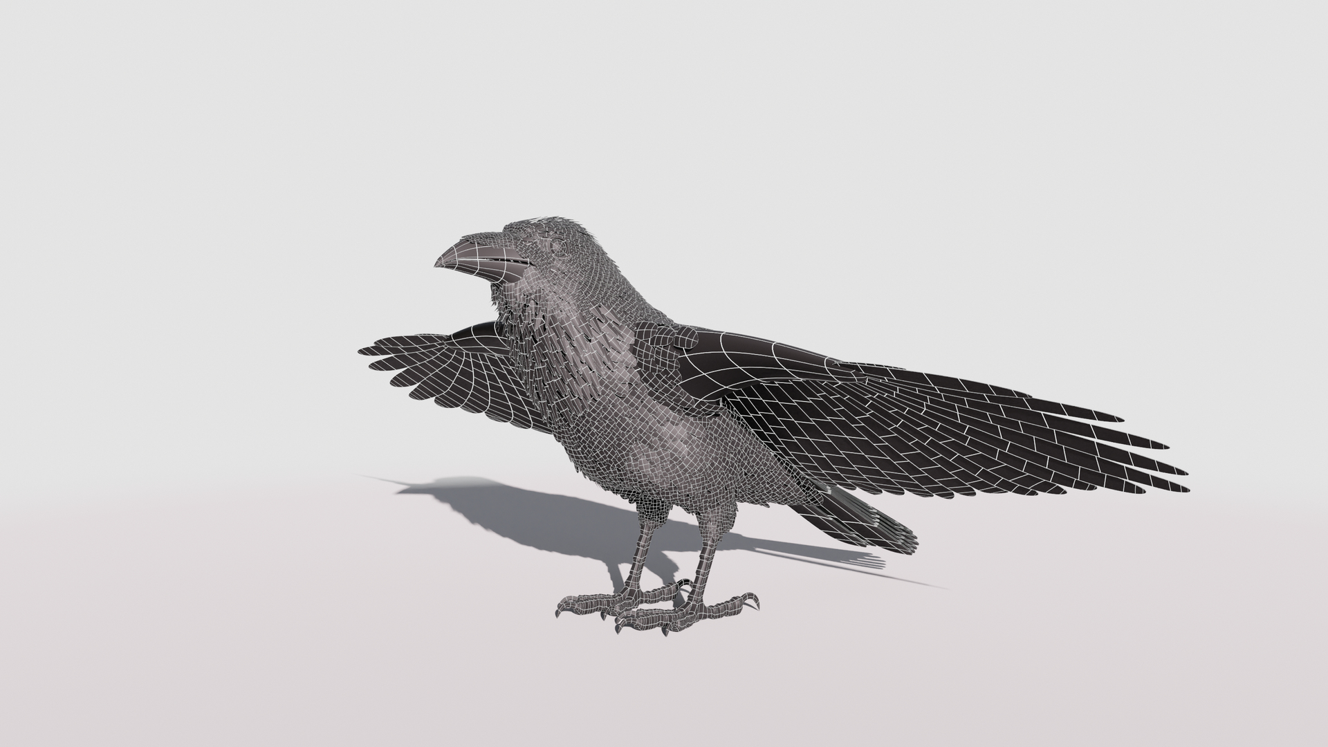 RAVEN-BLENDER model https://p.turbosquid.com/ts-thumb/WY/eAdT1n/pg/raven_wire_tt/png/1700265557/1920x1080/turn_fit_q99/8af51f0e714460ca5dd80c15892c29a730f013da/raven_wire_tt-1.jpg