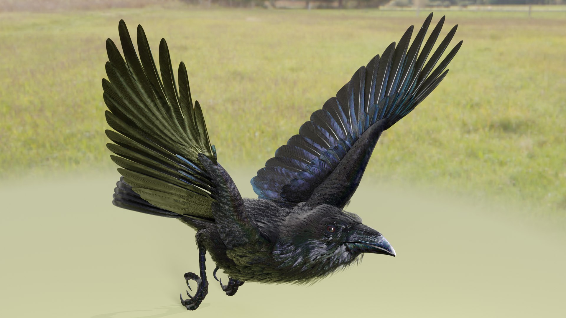 RAVEN-BLENDER model https://p.turbosquid.com/ts-thumb/WY/eAdT1n/pp/campix01_f335/png/1700254573/1920x1080/fit_q87/9b7baff2b09d6d7f7e6c94cb4eae0ab3d4ac302e/campix01_f335.jpg