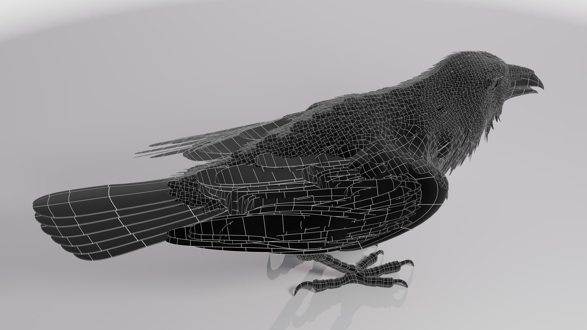 RAVEN-BLENDER model https://p.turbosquid.com/ts-thumb/WY/eAdT1n/q4/campix01_f305wire/png/1700254570/1920x1080/fit_q87/4174c723796df23fe9336e85b552b6074259cde6/campix01_f305wire.jpg