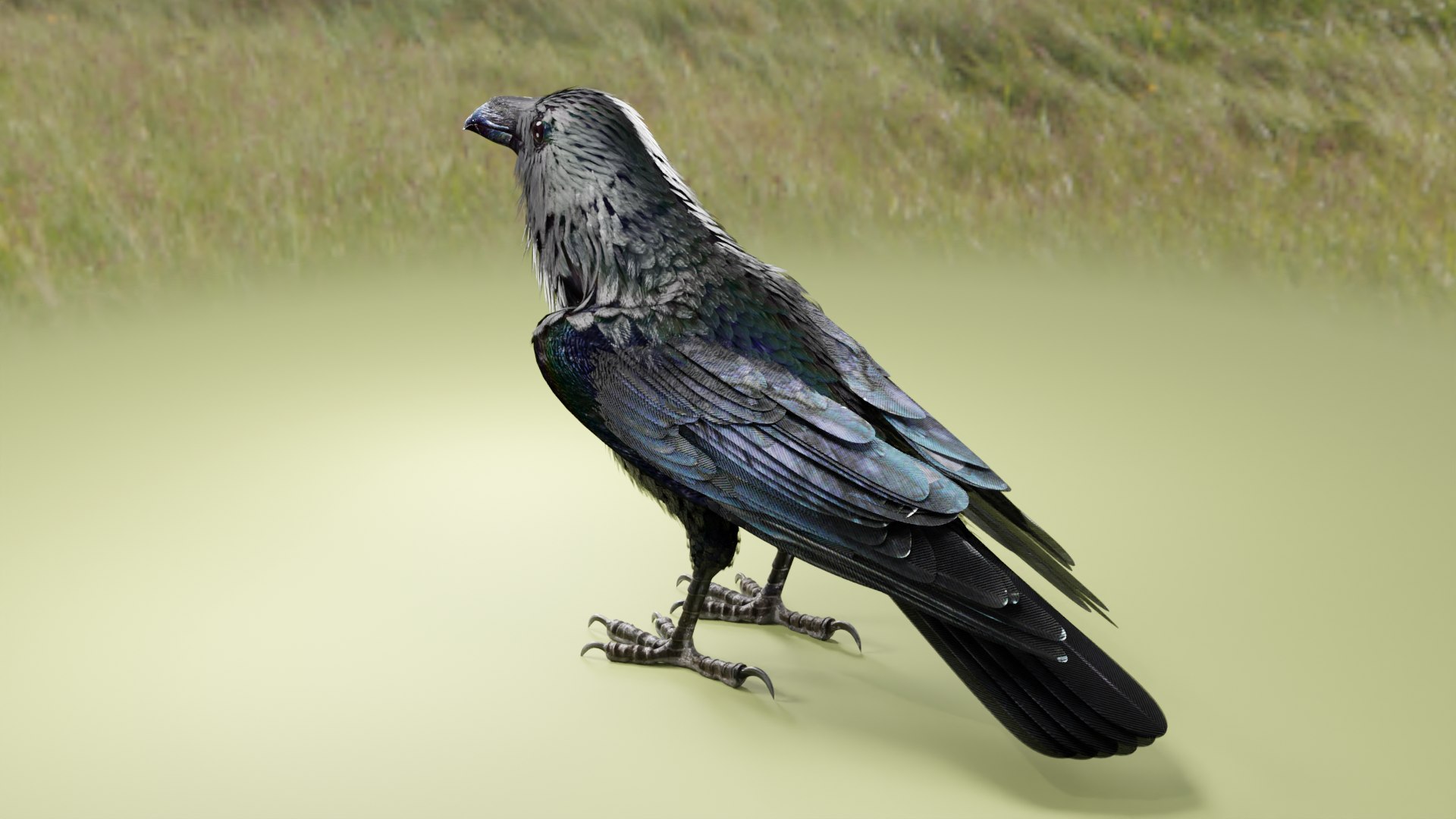 RAVEN-BLENDER model https://p.turbosquid.com/ts-thumb/WY/eAdT1n/rm/z02bf10/png/1700260871/1920x1080/fit_q87/547e4e8b98fe9a9dbd89b4d044b2cf359182a9d6/z02bf10.jpg