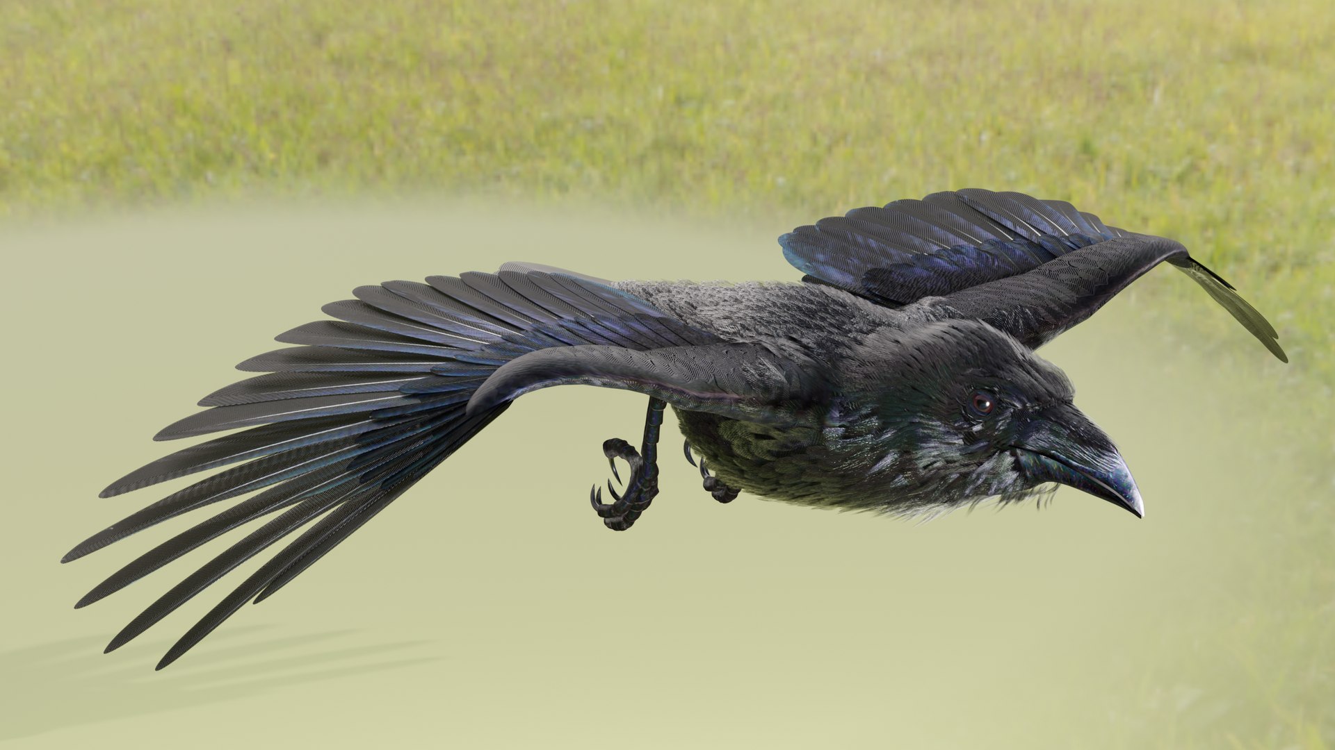 RAVEN-BLENDER model https://p.turbosquid.com/ts-thumb/WY/eAdT1n/rt/campix01_f354/png/1700254574/1920x1080/fit_q87/62d89a5946882af511a4294da896ca0ff84a9ac9/campix01_f354.jpg