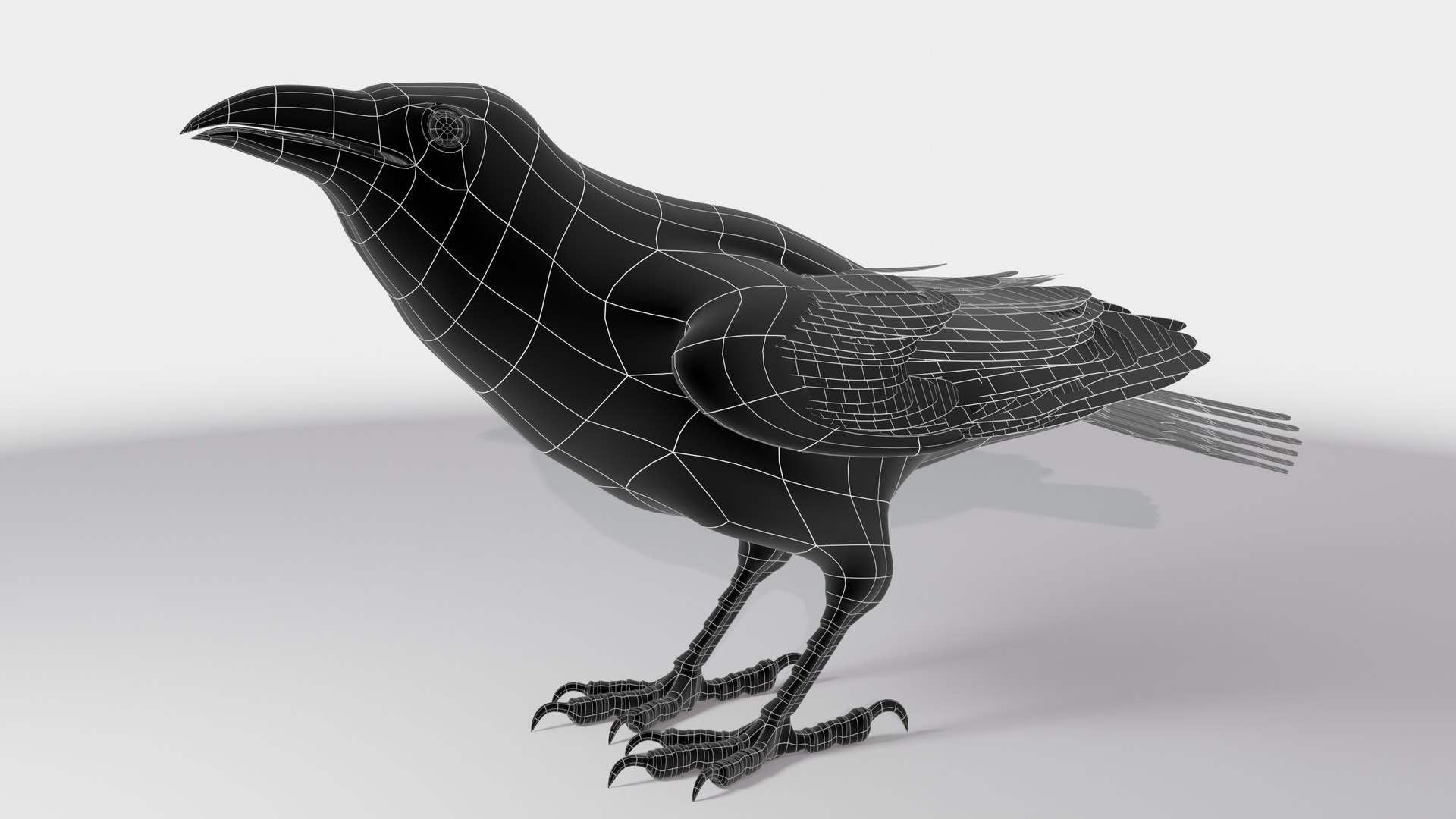 RAVEN-BLENDER model https://p.turbosquid.com/ts-thumb/WY/eAdT1n/sy/campix01_f213wirenofea/png/1700260753/1920x1080/fit_q87/d96f105f7e6f94c9bfa3541240625af38f186f2d/campix01_f213wirenofea.jpg