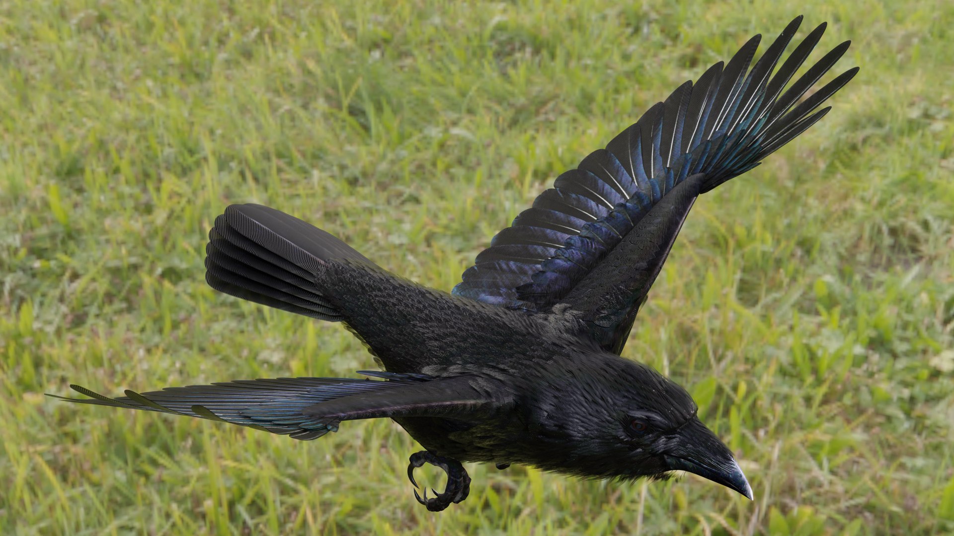 RAVEN-BLENDER model https://p.turbosquid.com/ts-thumb/WY/eAdT1n/ut/campix01_f48/png/1700254563/1920x1080/fit_q87/3893b85969b20158e0959baa4f75479c62b498f1/campix01_f48.jpg
