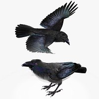 RAVEN-BLENDER