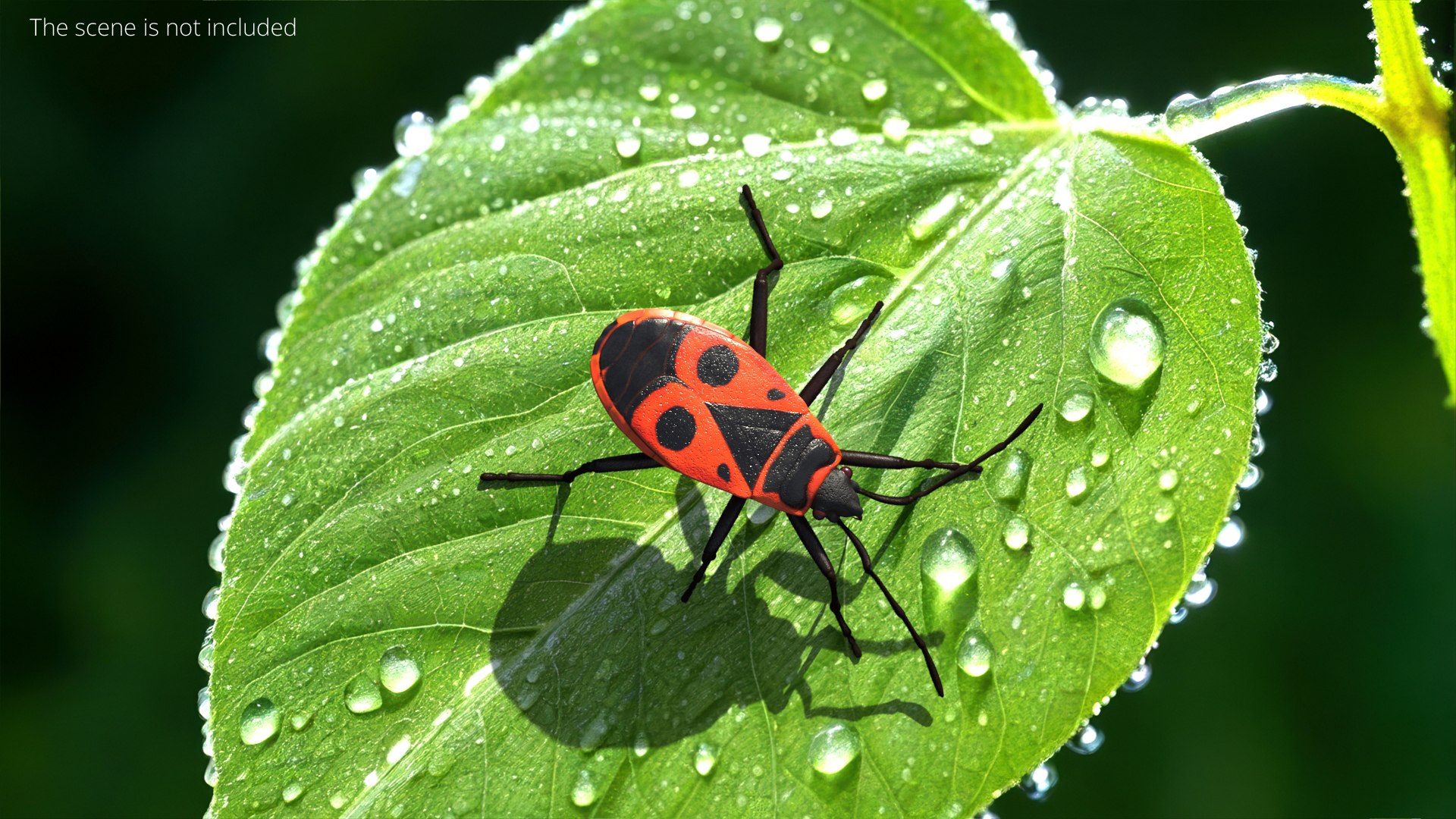 3D Model Firebug Pyrrhocoris Apterus Insect Red Black Fur Rigged ...