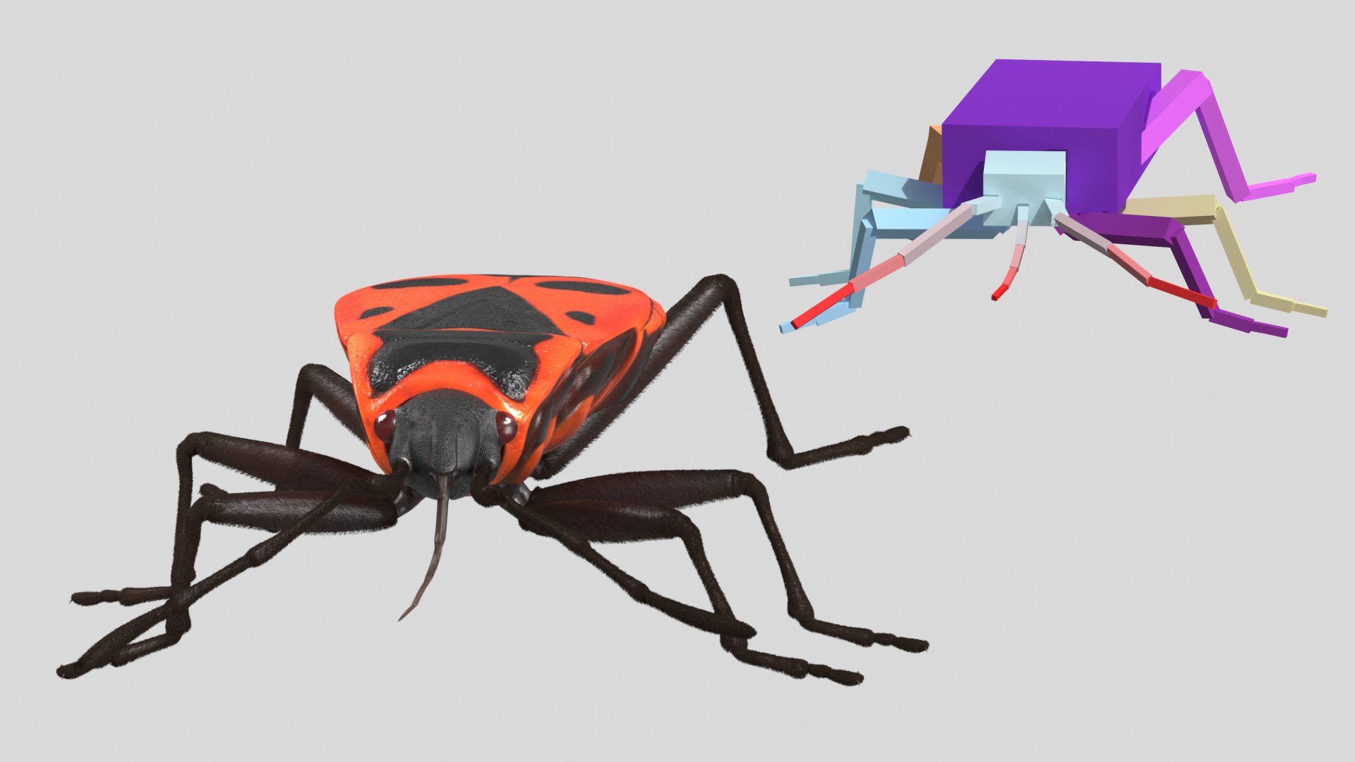 3D Model Firebug Pyrrhocoris Apterus Insect Red Black Fur Rigged ...