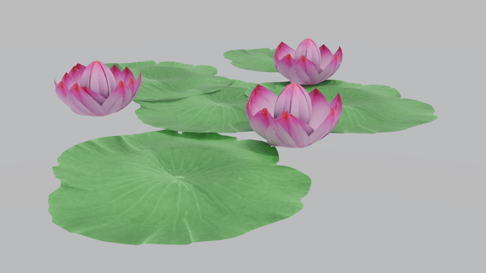 3D model Lotus Pond Asian Garden Decoration Stone 3D Model https://p.turbosquid.com/ts-thumb/WZ/MYQUlB/5O/b93_thumbnail/jpg/1788745766/1920x1080/fit_q87/fdad8c873100f424d794fad53330b07c85e85cdb/b93_thumbnail.jpg
