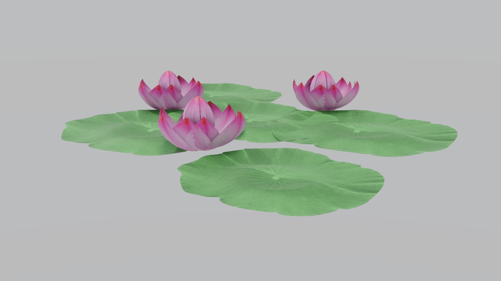 3D model Lotus Pond Asian Garden Decoration Stone 3D Model https://p.turbosquid.com/ts-thumb/WZ/MYQUlB/r7/b93_gallery_09/png/1788745766/1920x1080/fit_q87/917954a8009e91a63e1d2da1c375de9c418d11dd/b93_gallery_09.jpg
