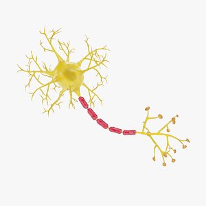 Neuron 2 Rigged 3D model