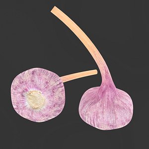3D model Purple garlic